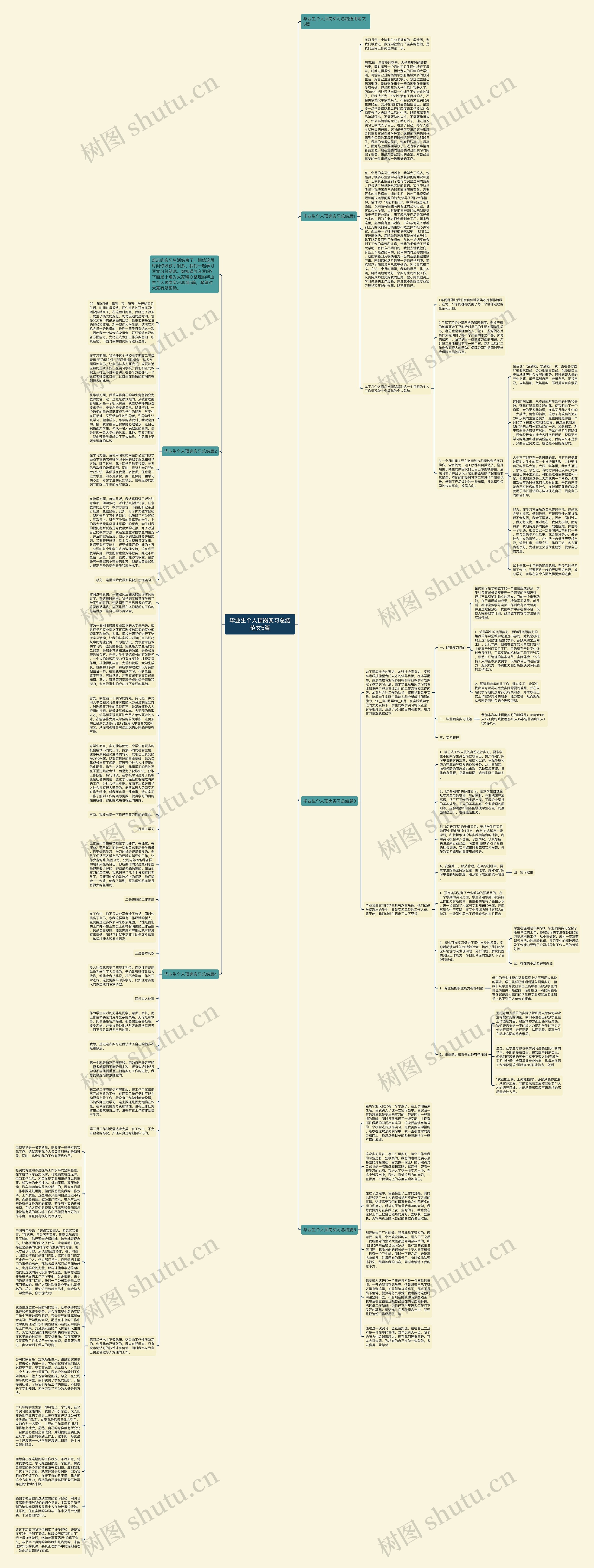 毕业生个人顶岗实习总结范文5篇思维导图高清图 毕业生个人顶岗实习总结范文5篇思维导图