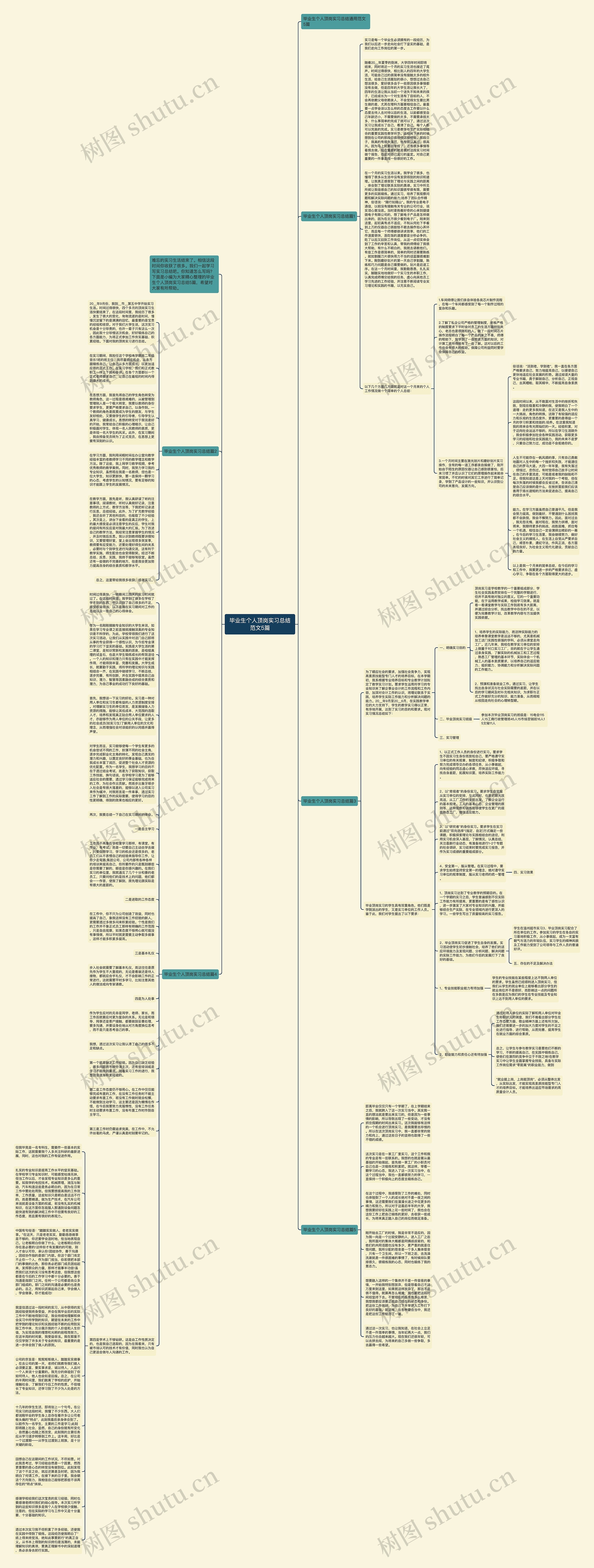 毕业生个人顶岗实习总结范文5篇思维导图