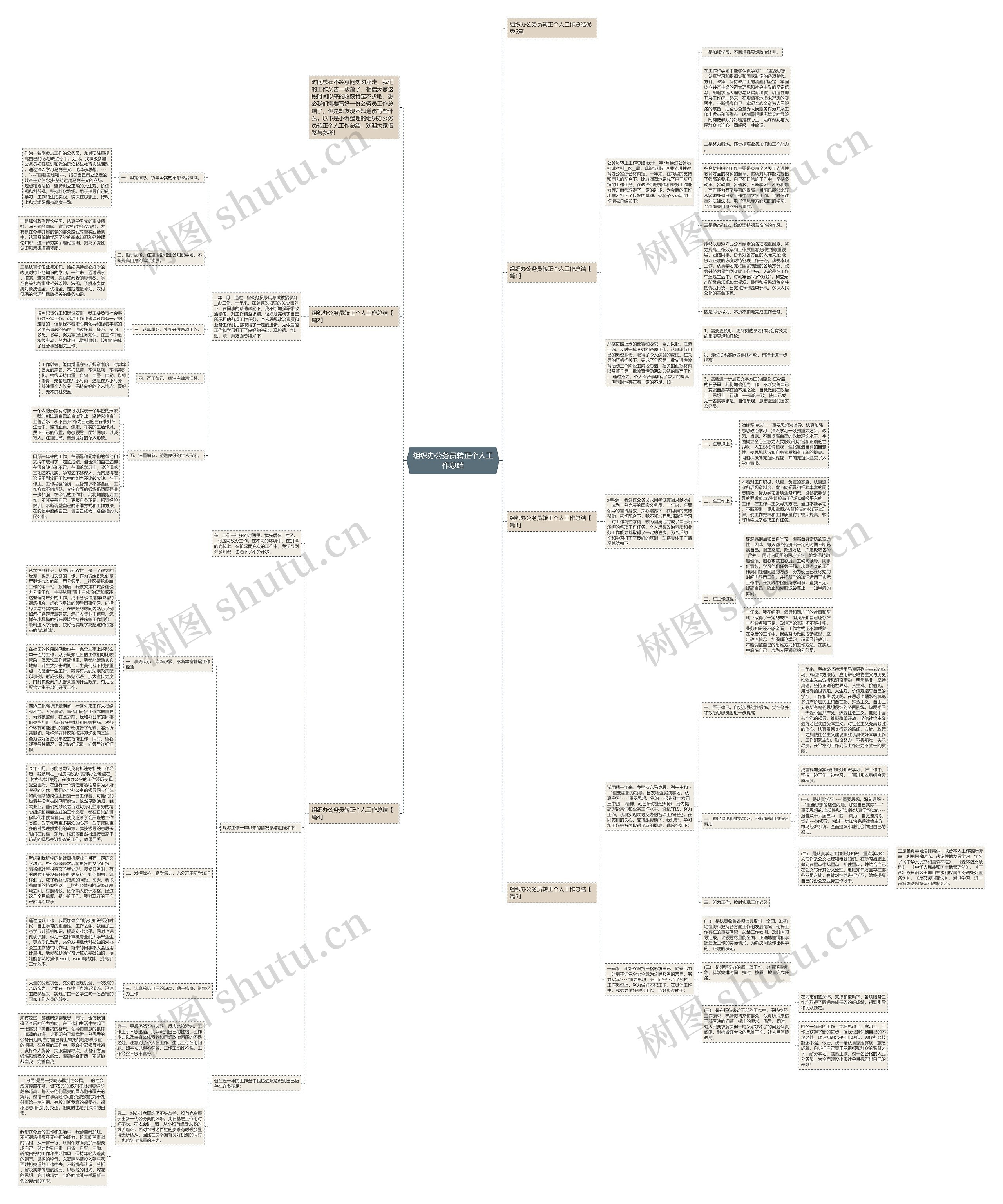 组织办公务员转正个人工作总结思维导图