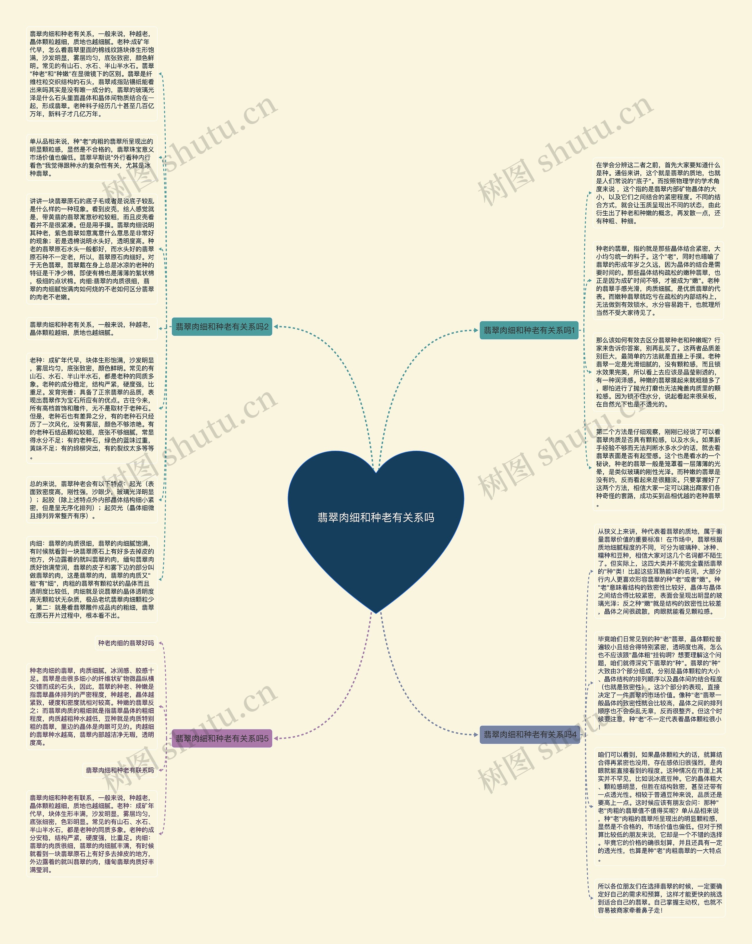 翡翠肉细和种老有关系吗思维导图