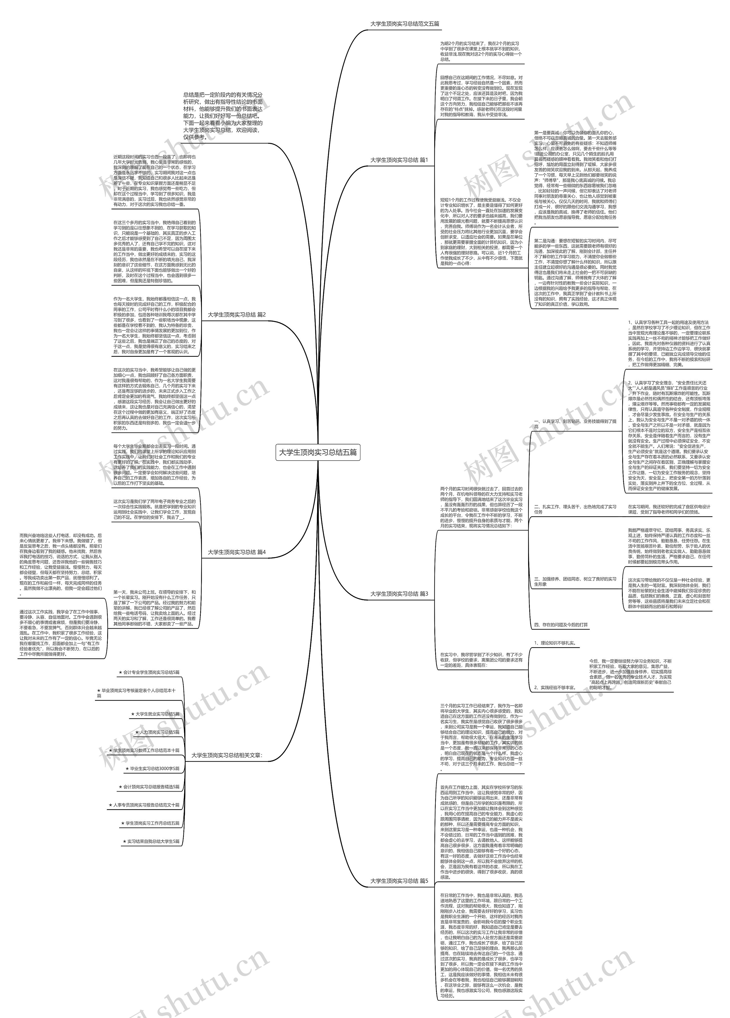 大学生顶岗实习总结五篇思维导图