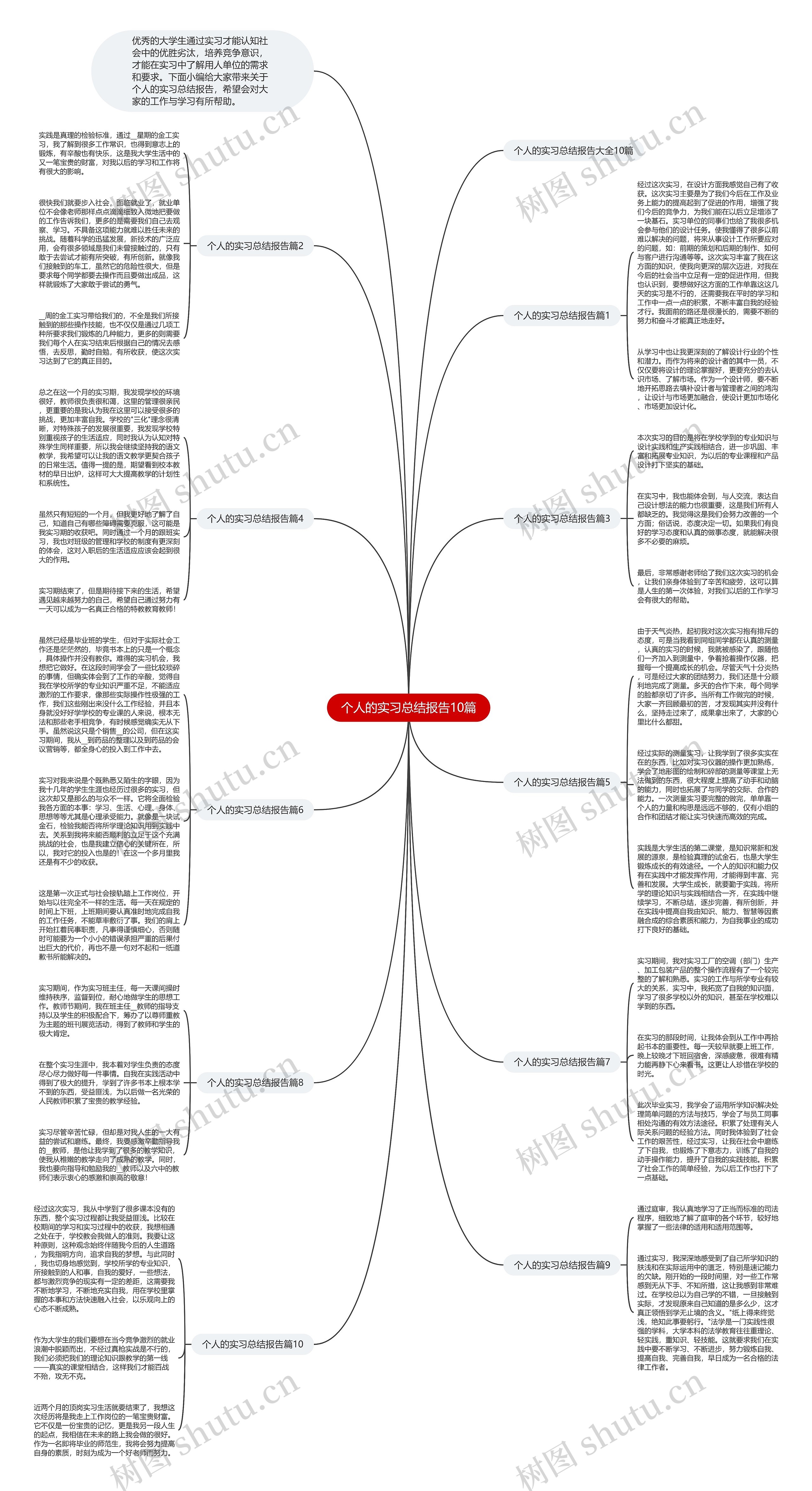 个人的实习总结报告10篇思维导图