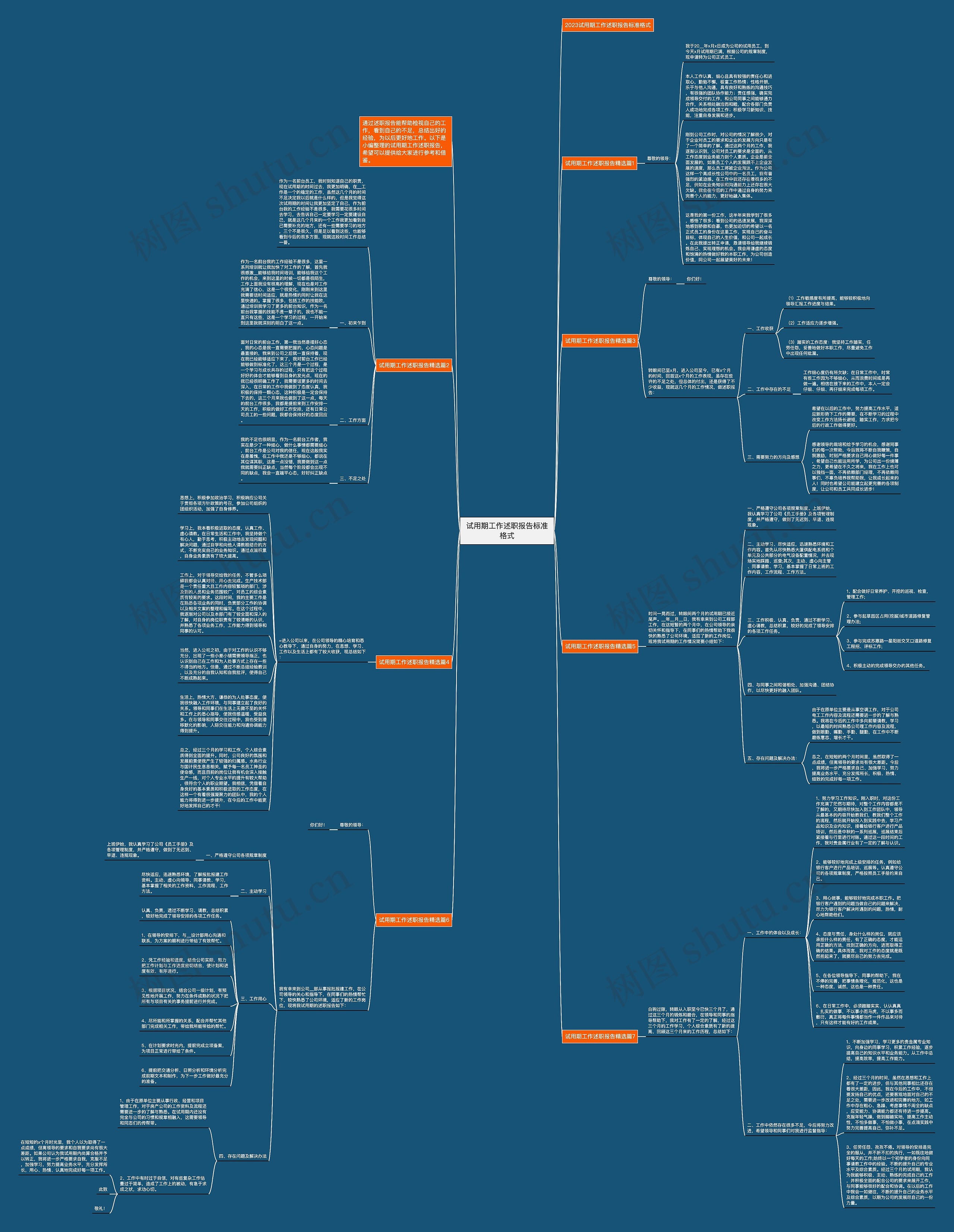 试用期工作述职报告标准格式思维导图