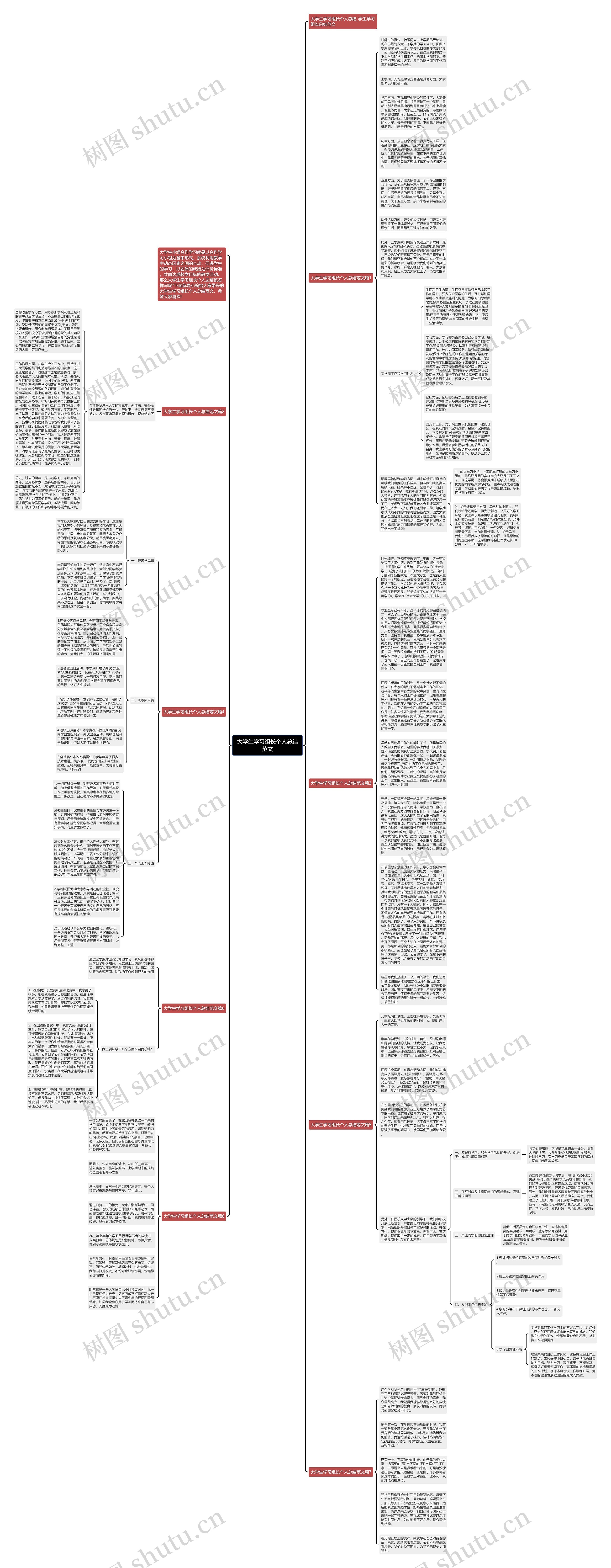 大学生学习组长个人总结范文思维导图