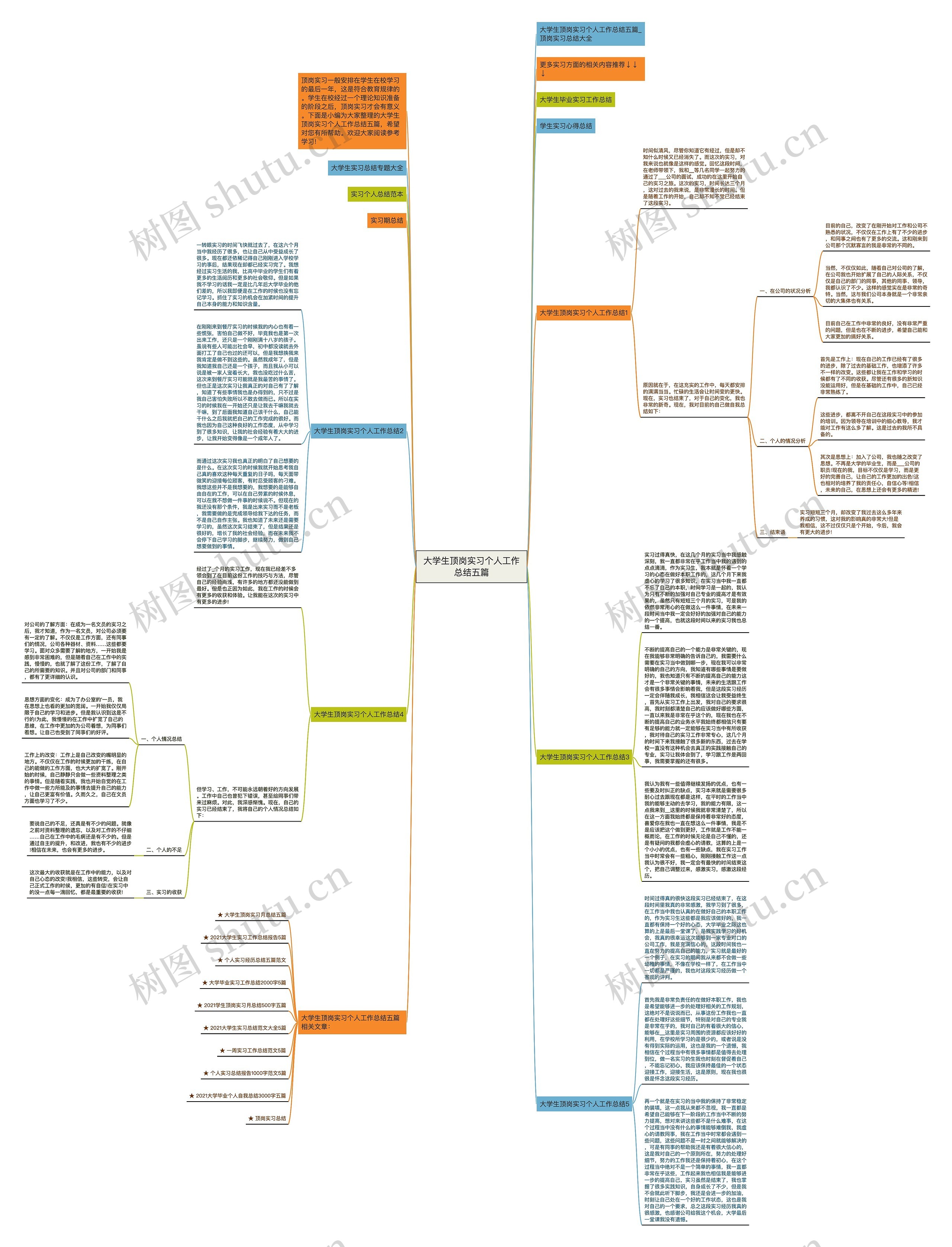 大学生顶岗实习个人工作总结五篇思维导图