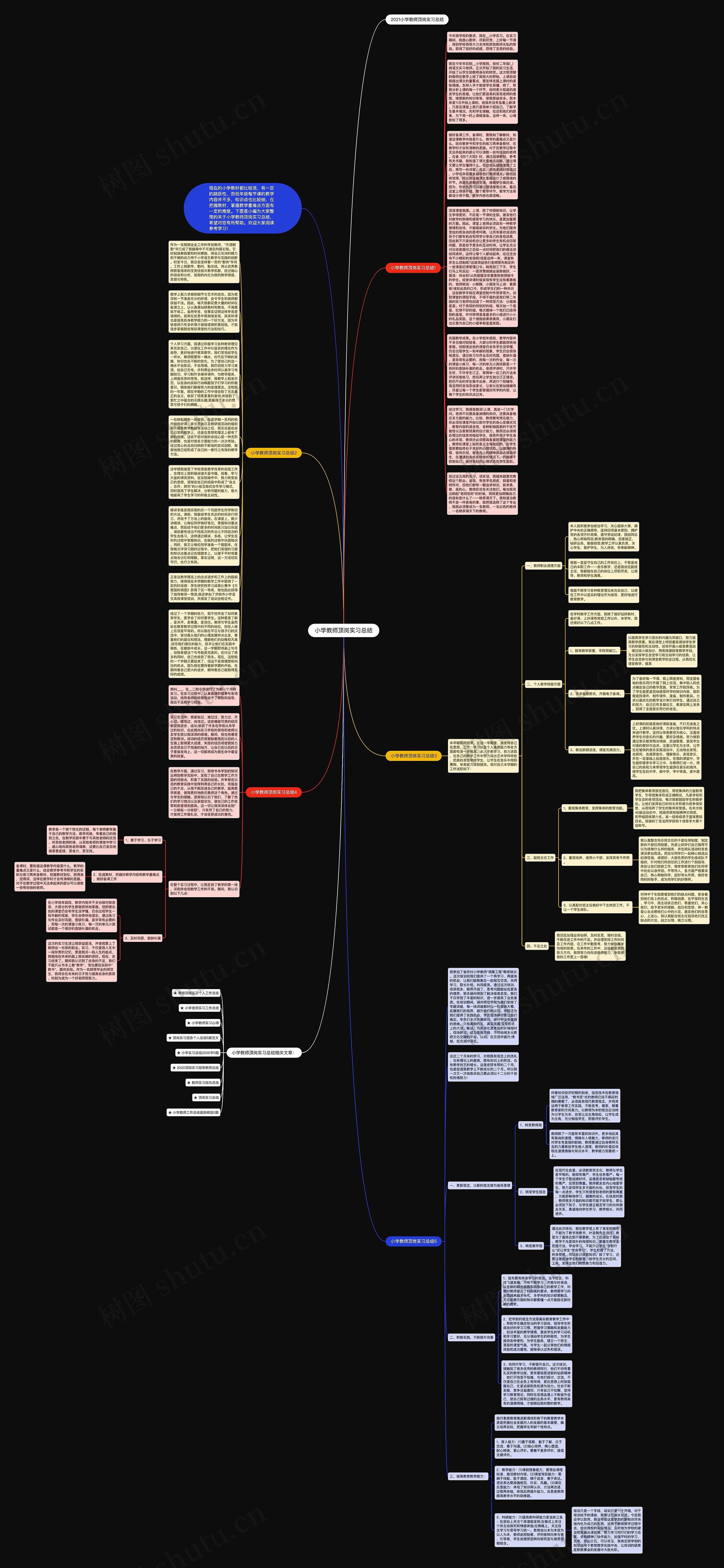 小学教师顶岗实习总结思维导图