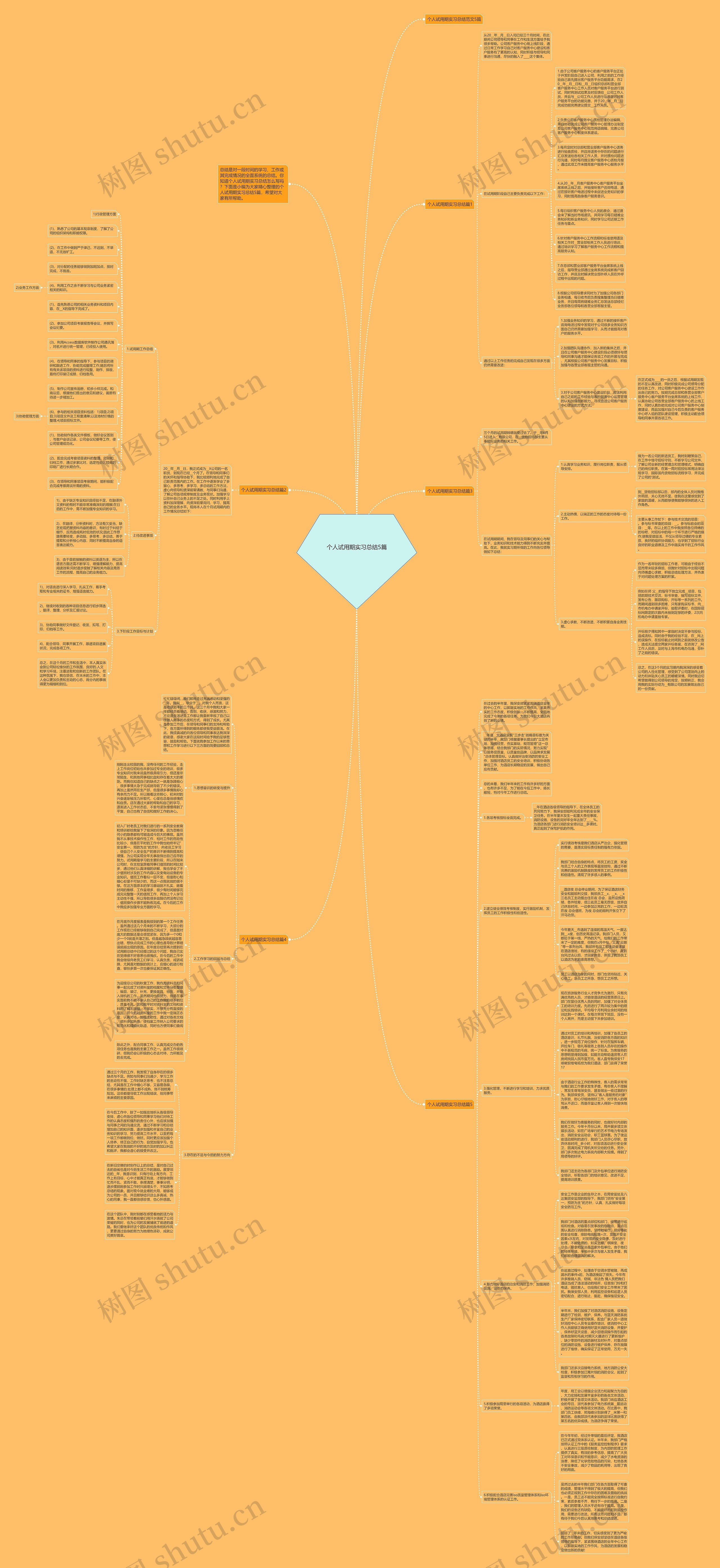 个人试用期实习总结5篇思维导图