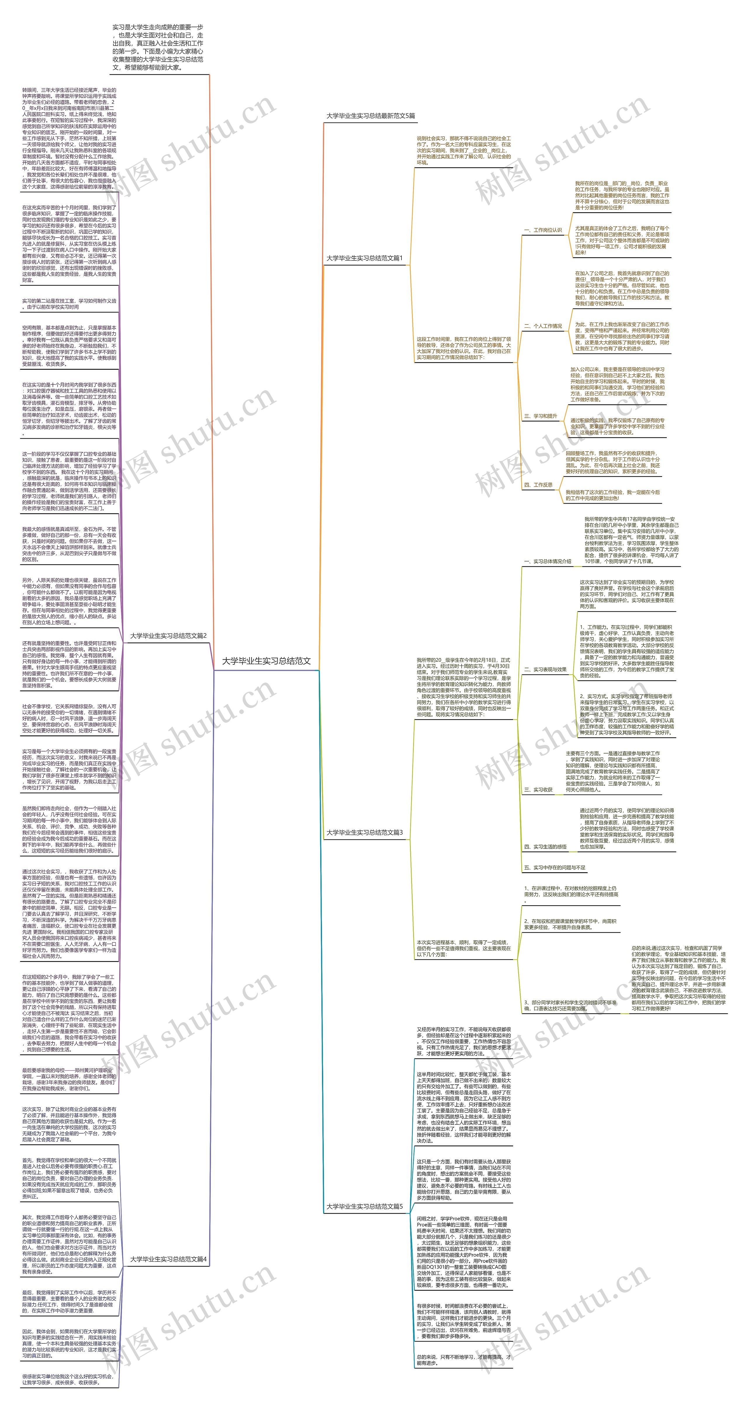 大学毕业生实习总结范文思维导图