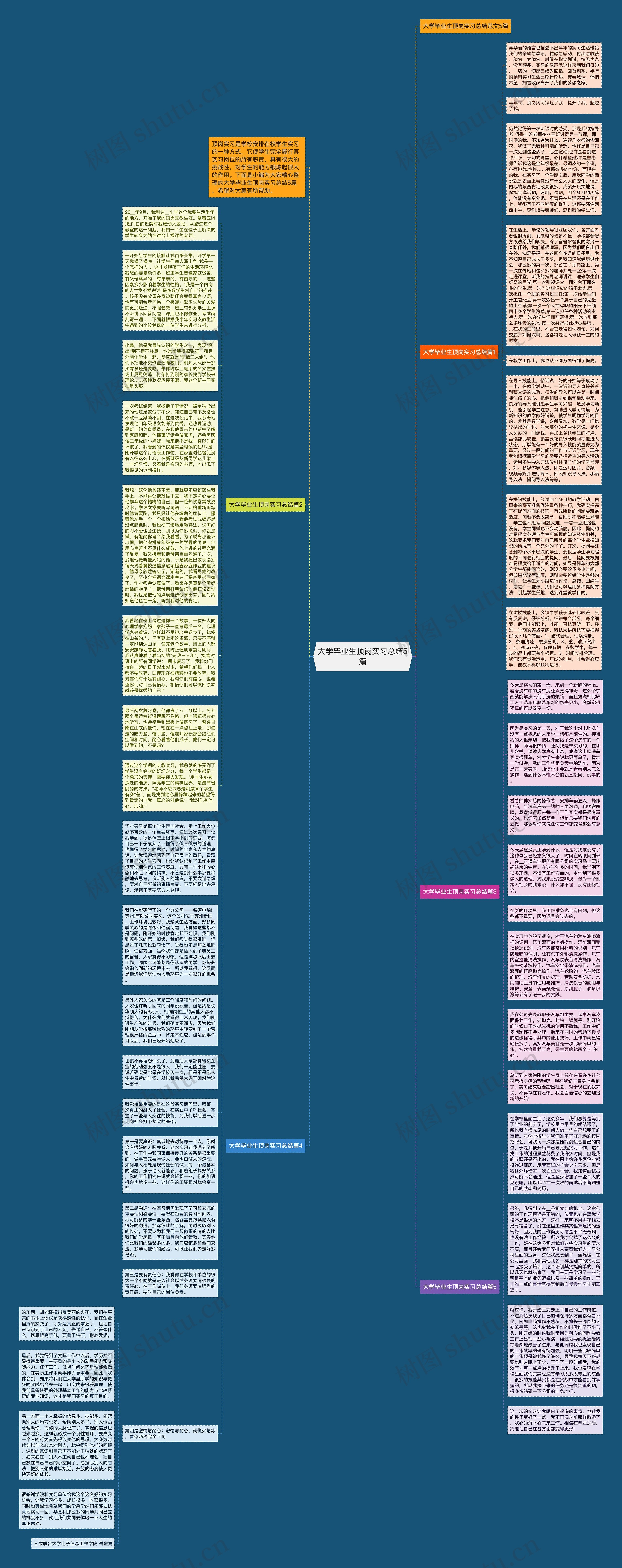 大学毕业生顶岗实习总结5篇思维导图