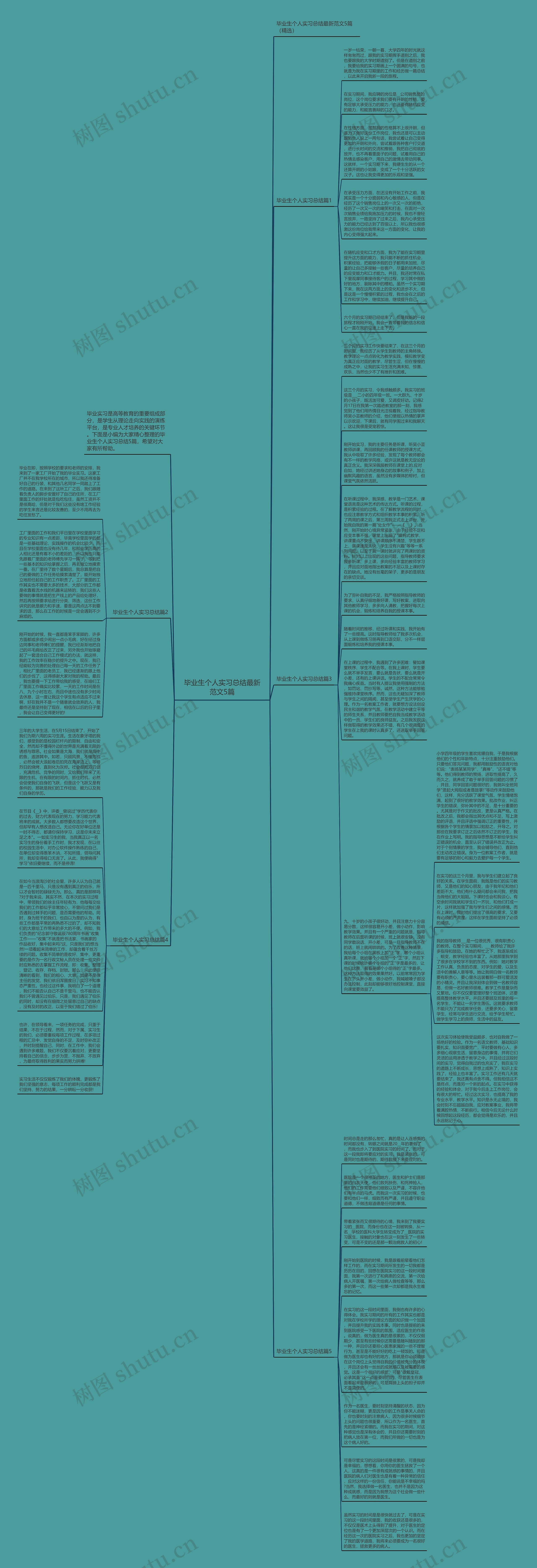 毕业生个人实习总结最新范文5篇思维导图