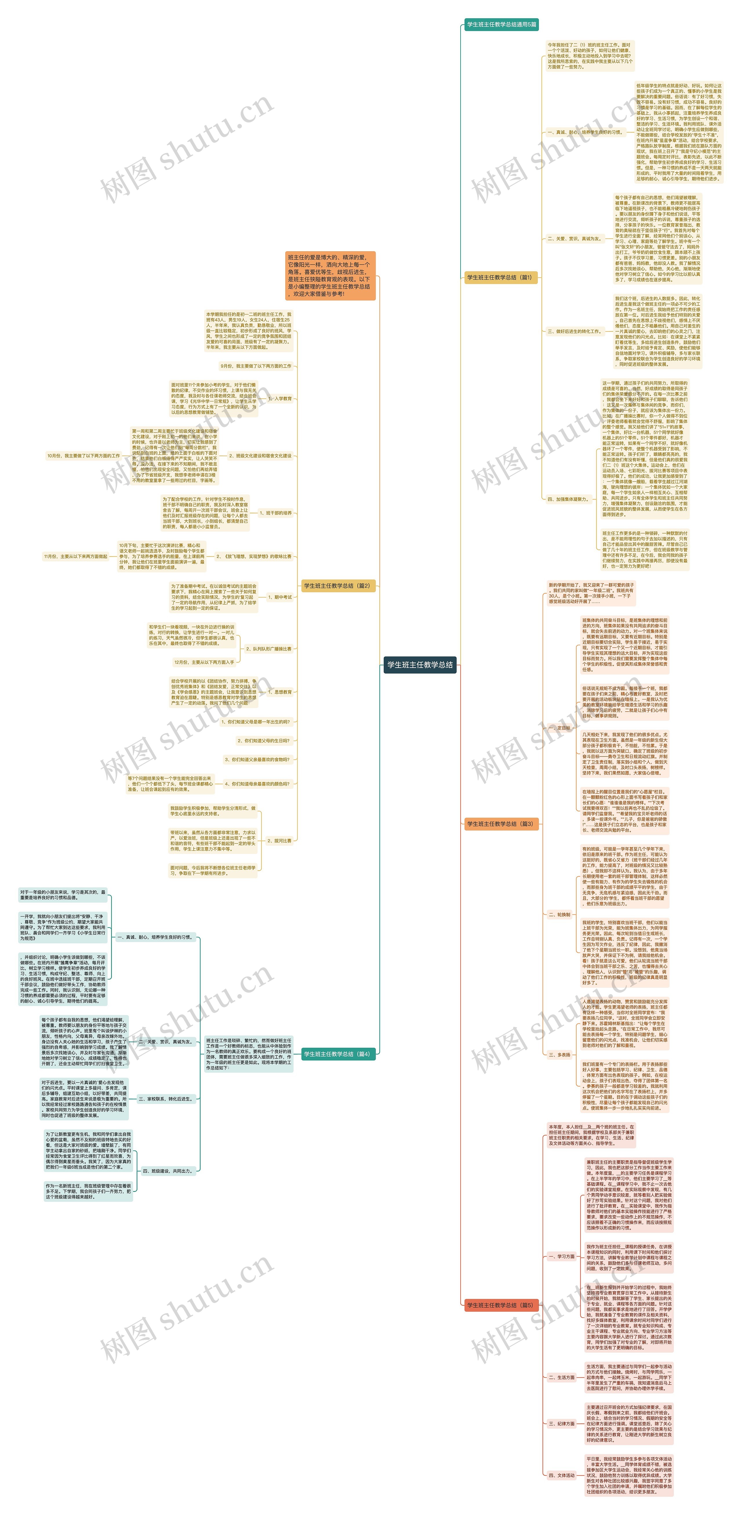 学生班主任教学总结思维导图