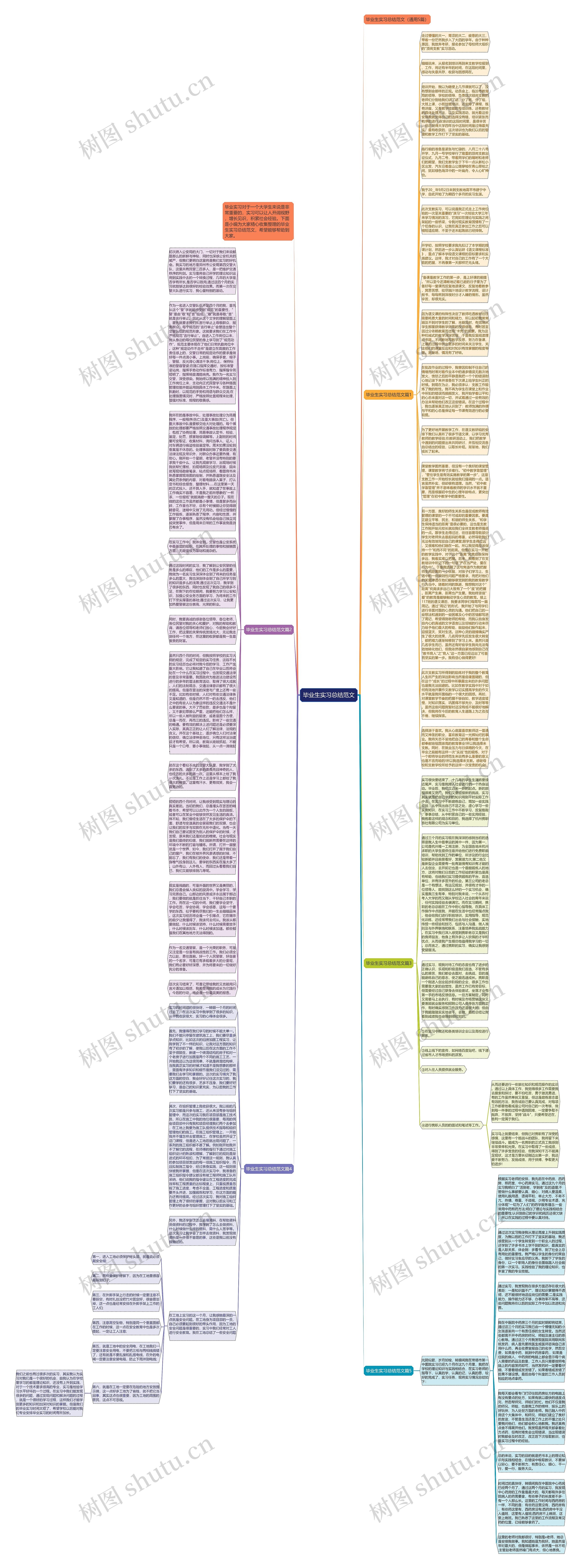 毕业生实习总结范文思维导图
