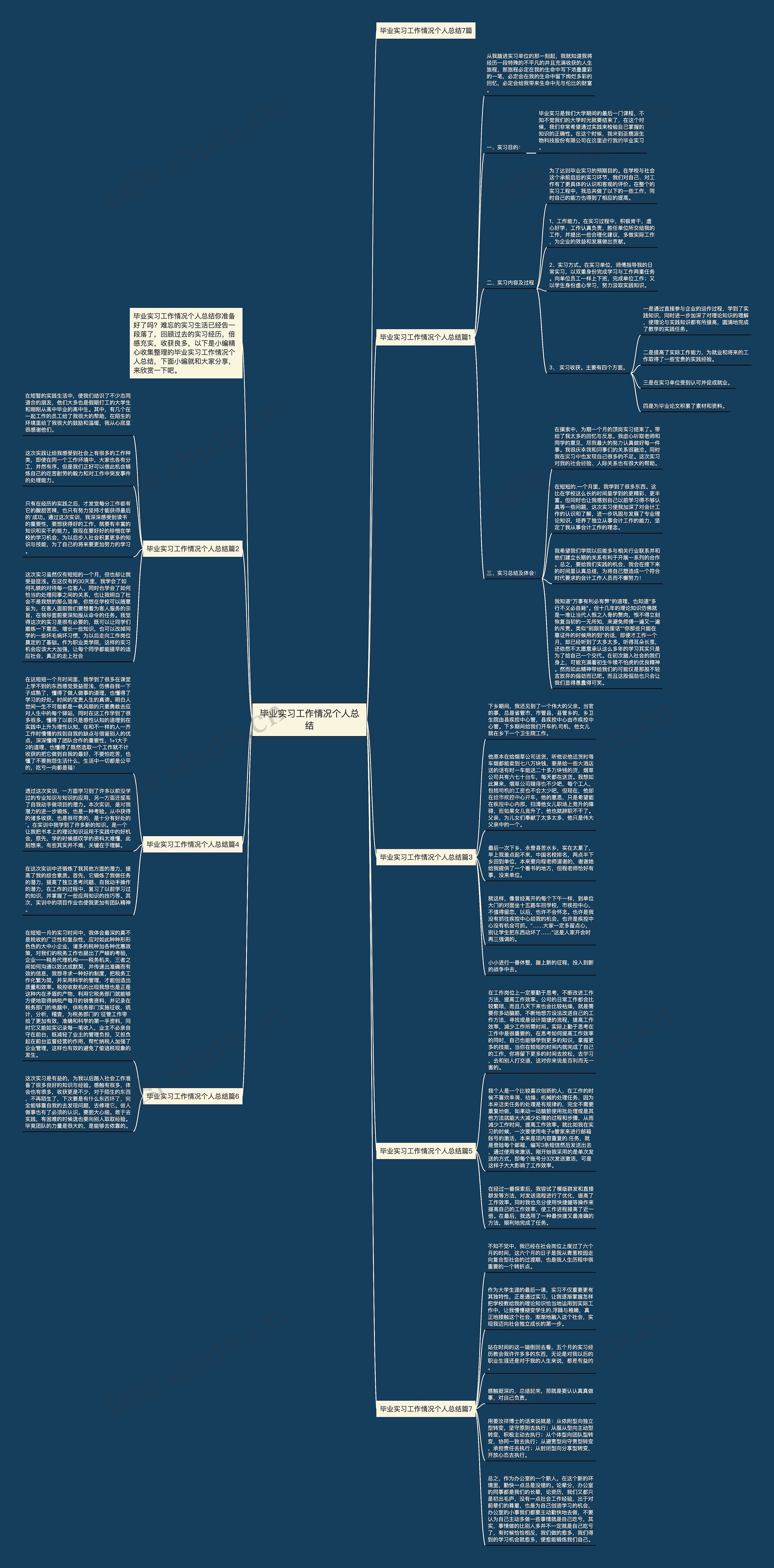 毕业实习工作情况个人总结思维导图