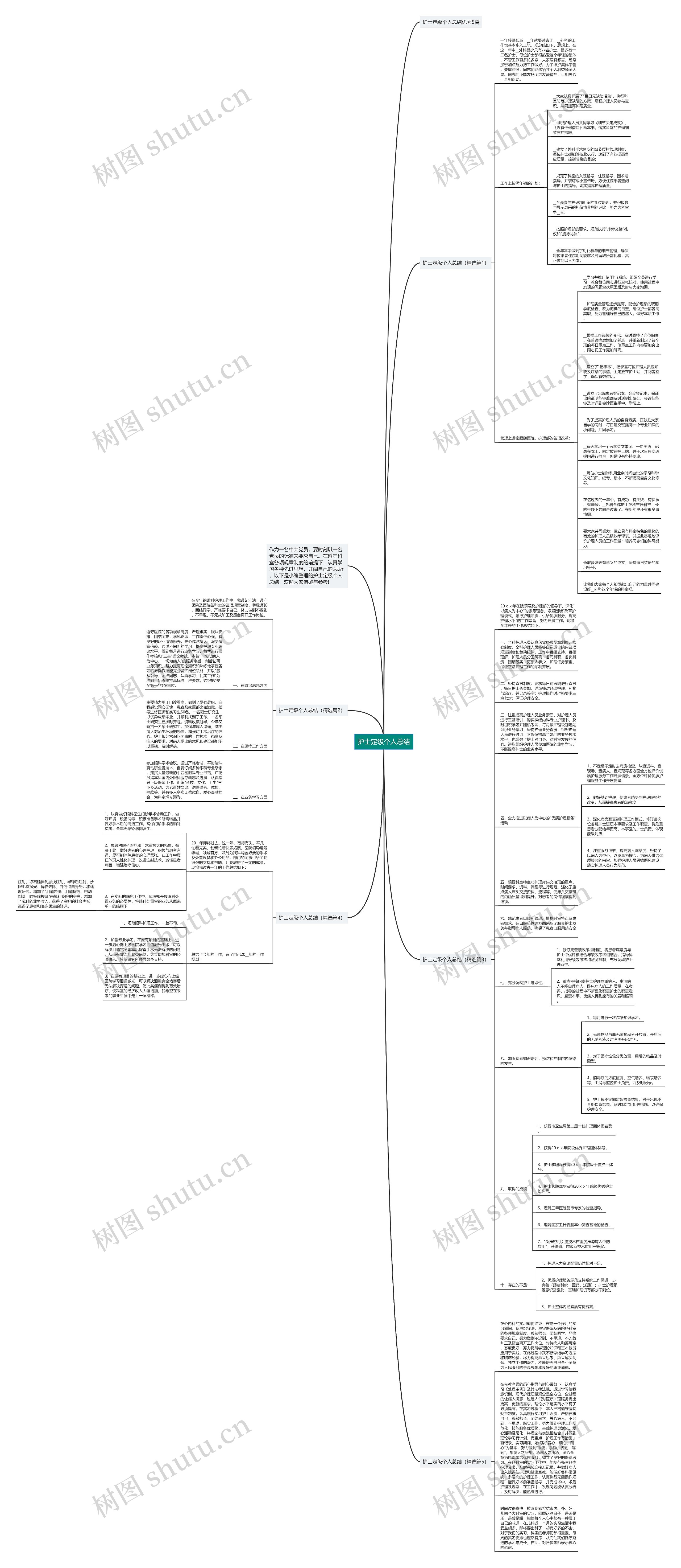 护士定级个人总结思维导图