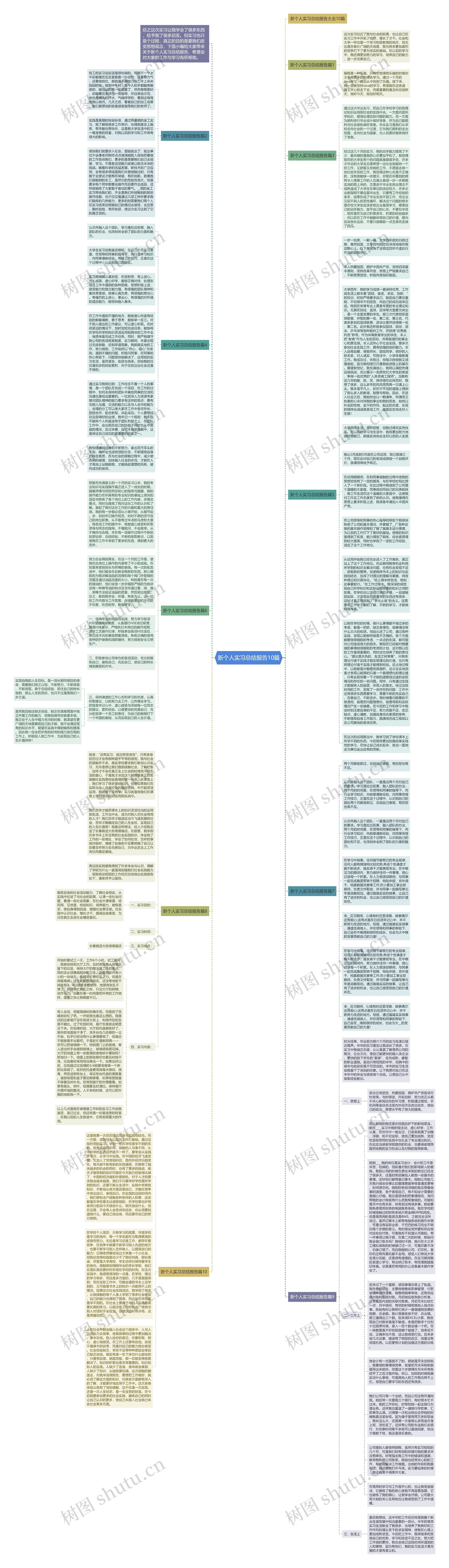 新个人实习总结报告10篇思维导图