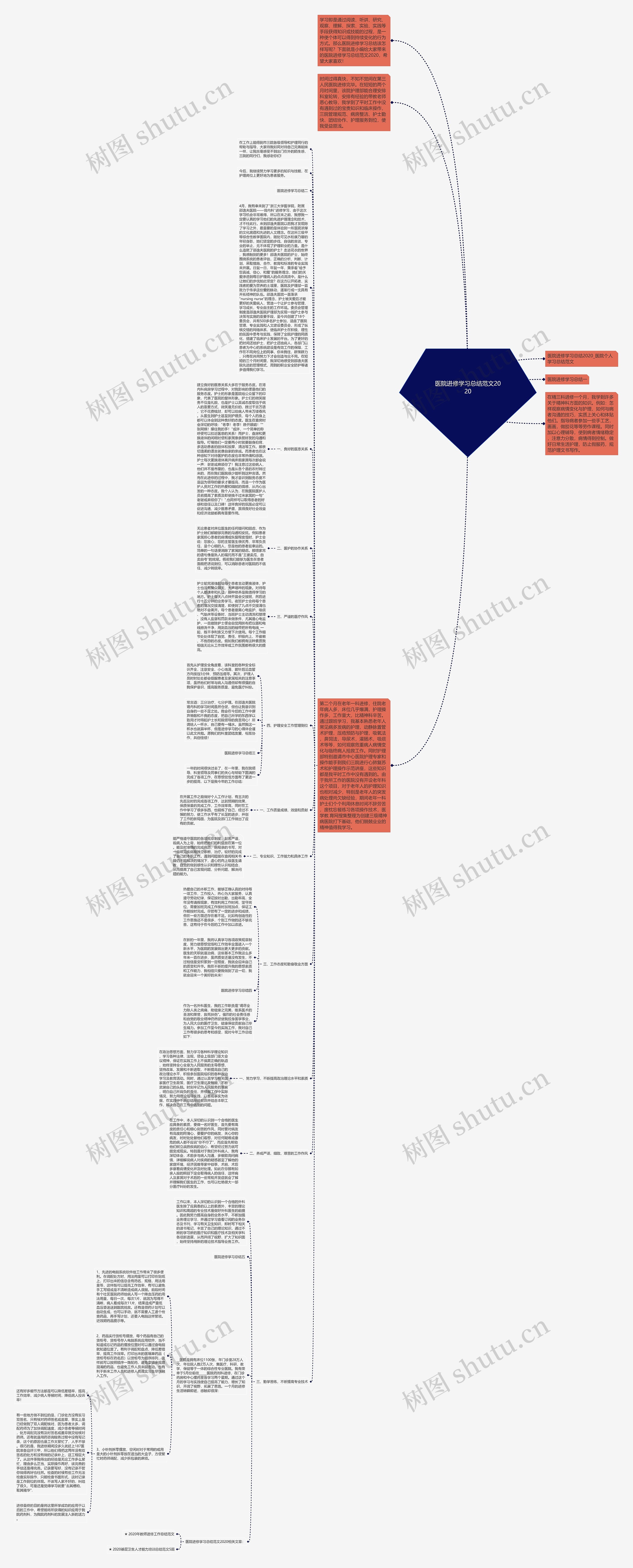 医院进修学习总结范文2020思维导图