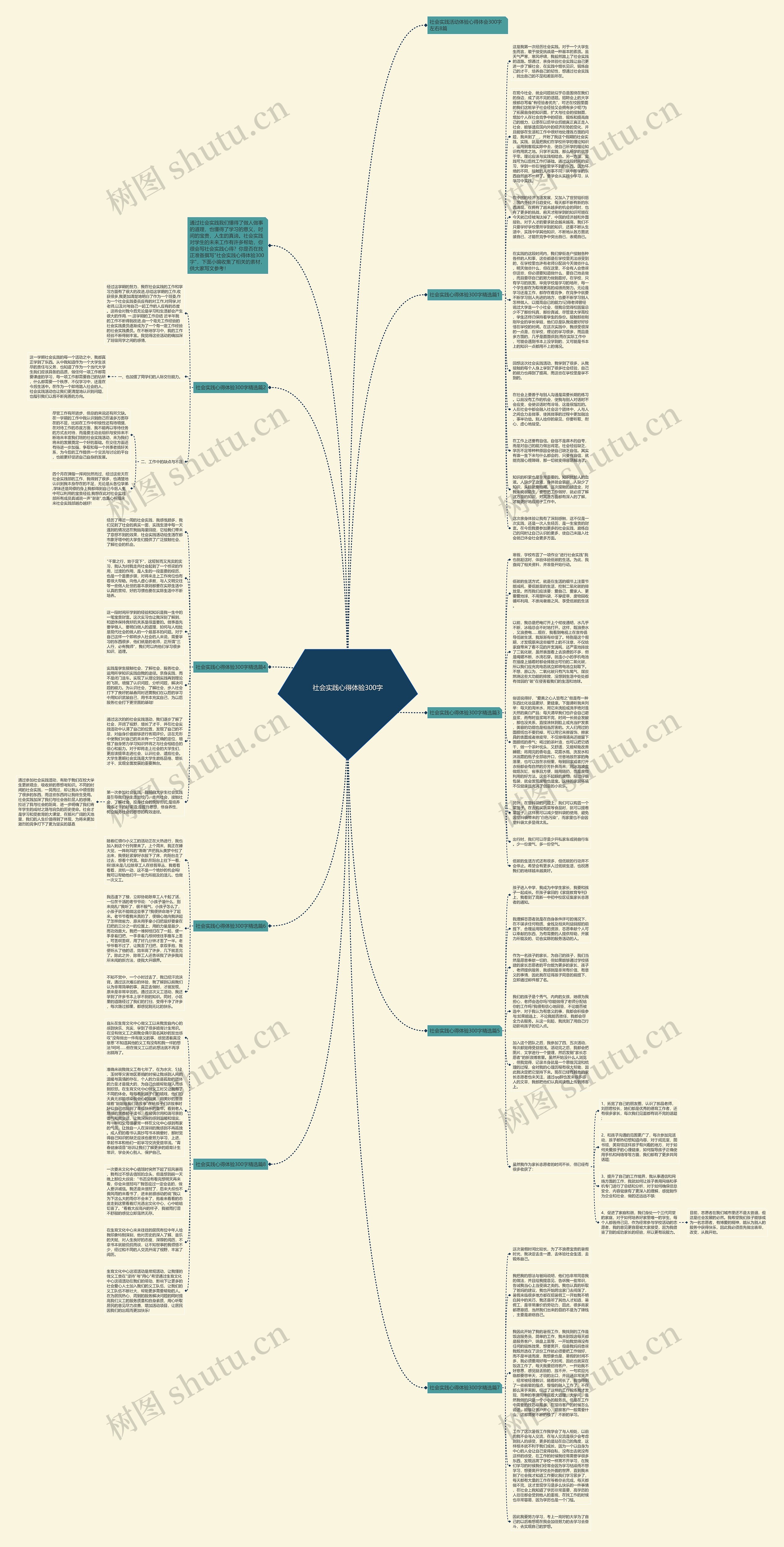 社会实践心得体验300字思维导图