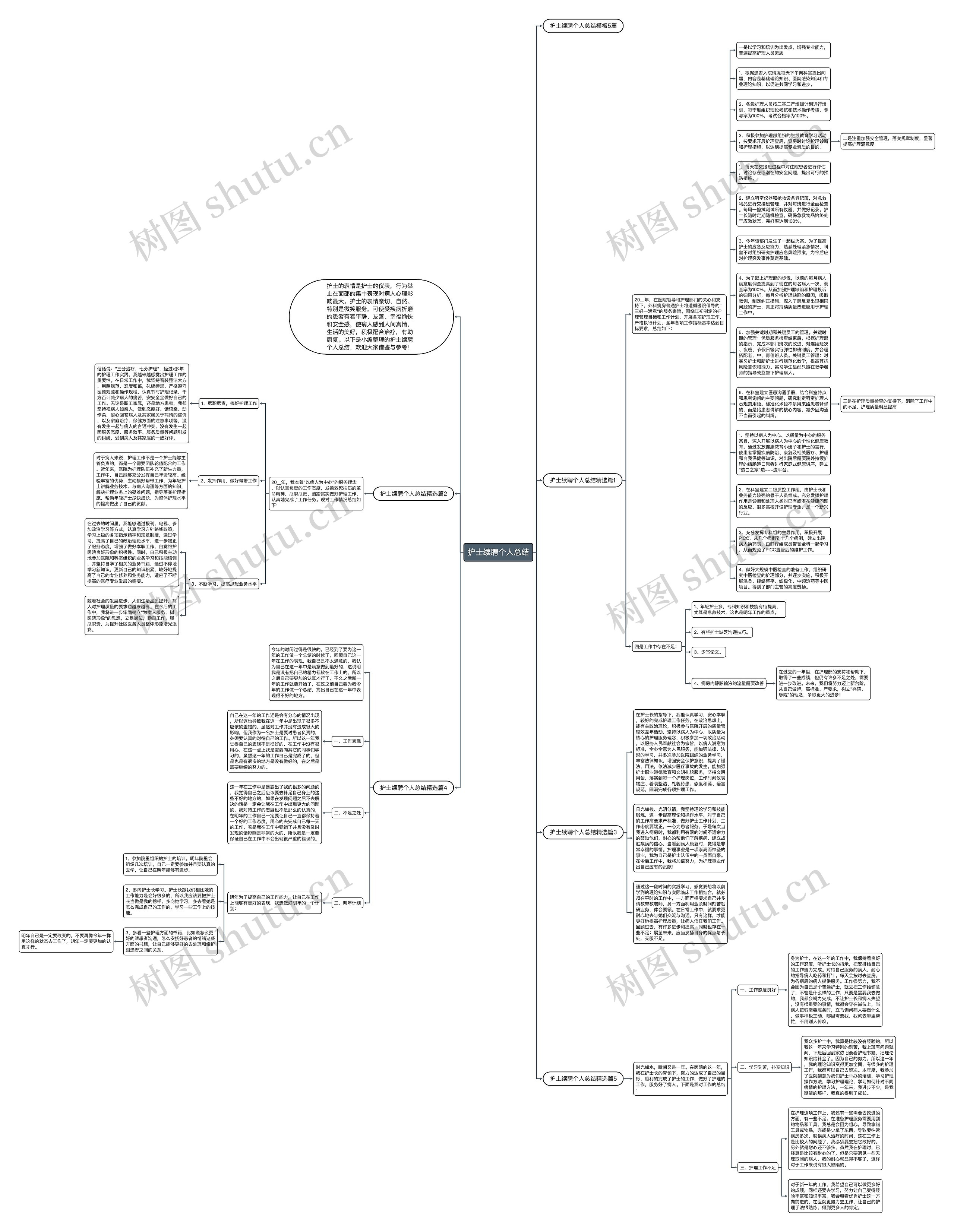 护士续聘个人总结思维导图