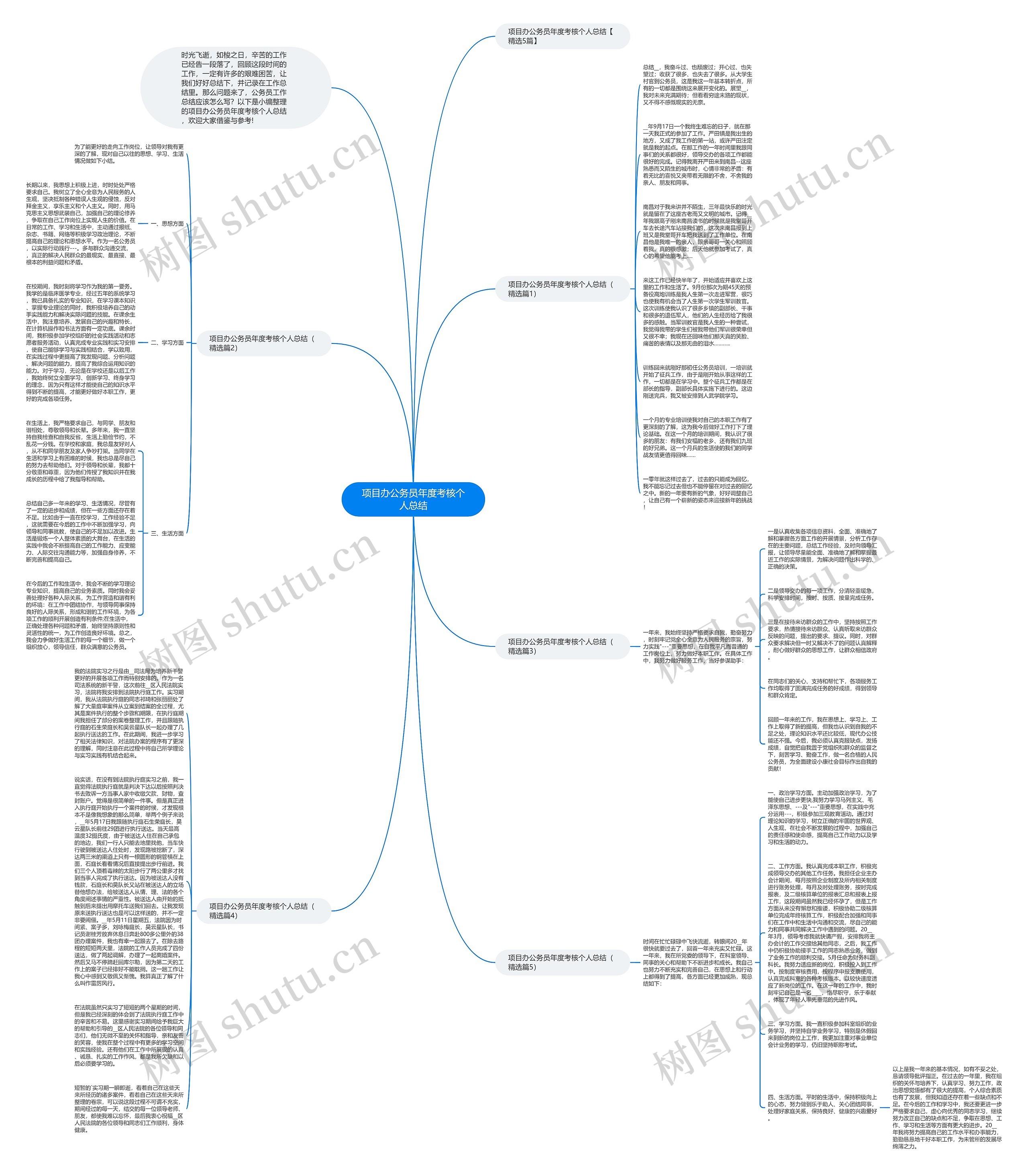 项目办公务员年度考核个人总结思维导图