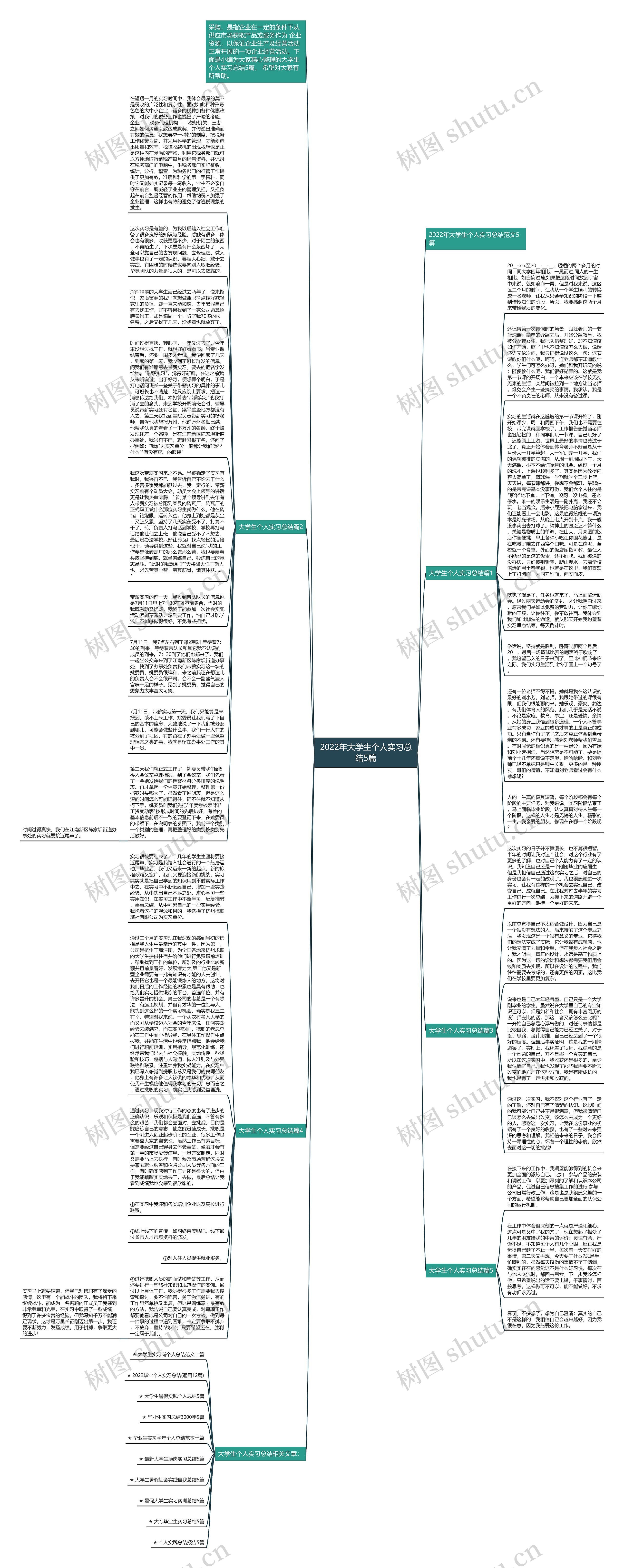 2022年大学生个人实习总结5篇思维导图