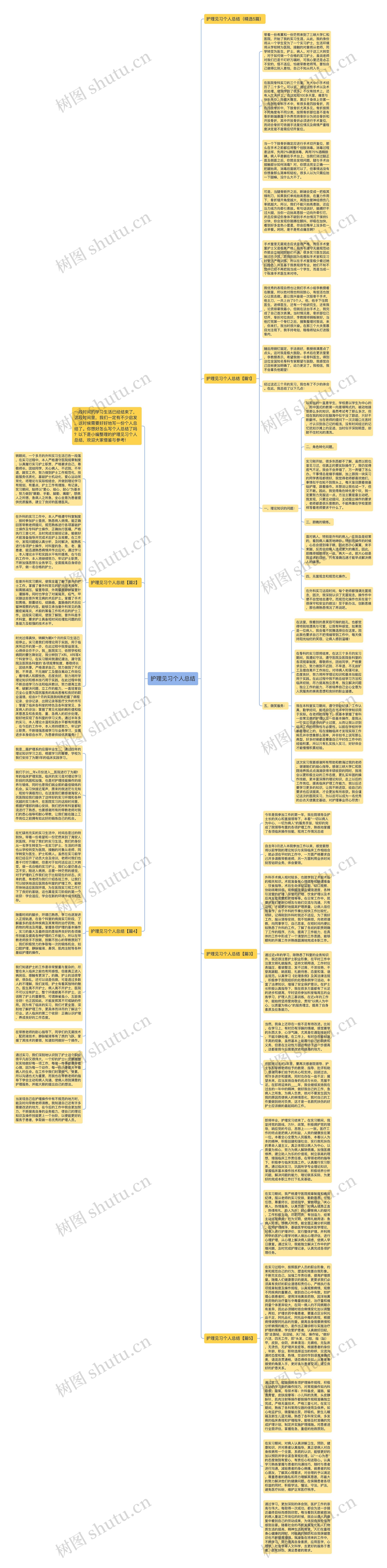 护理见习个人总结思维导图