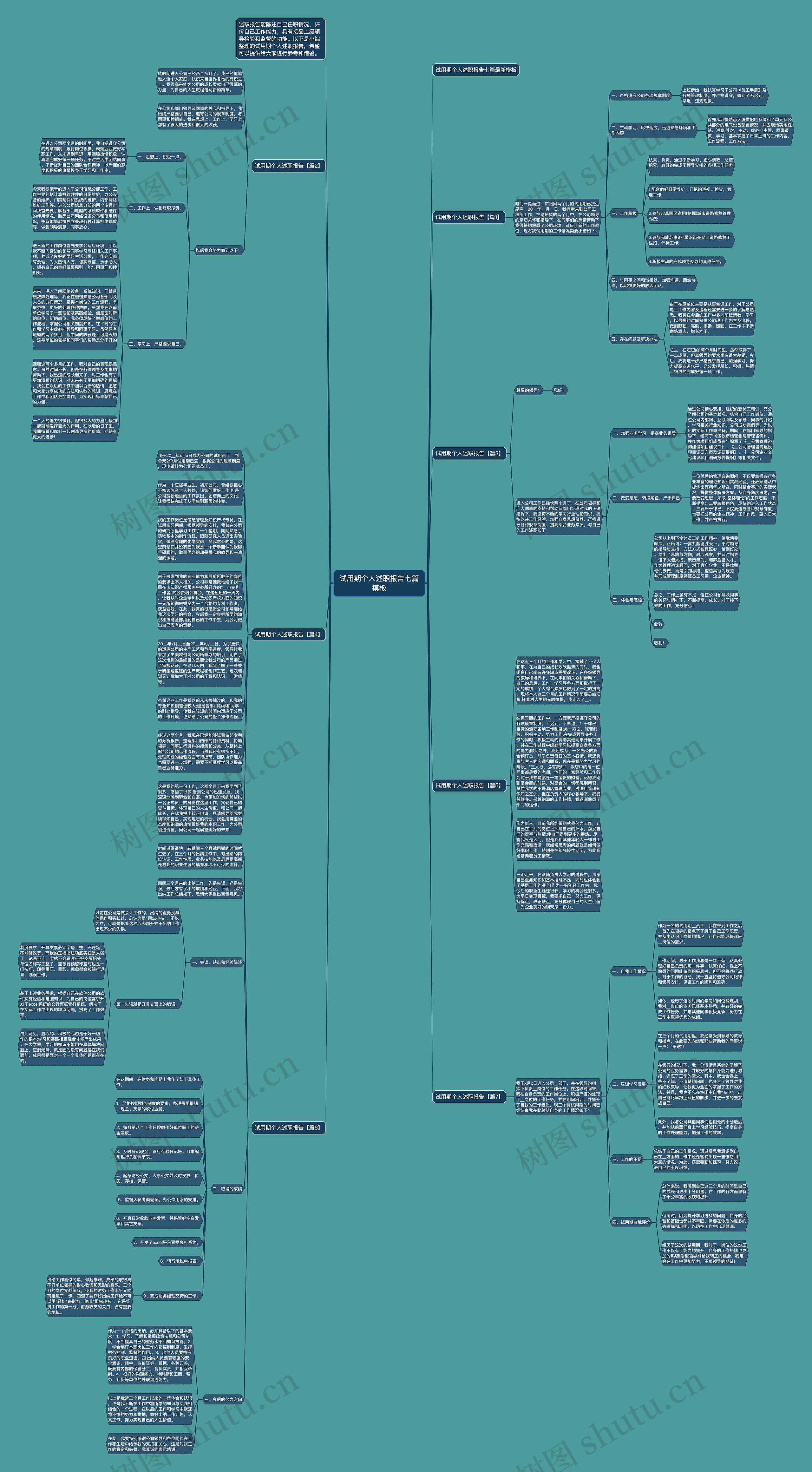 试用期个人述职报告七篇思维导图