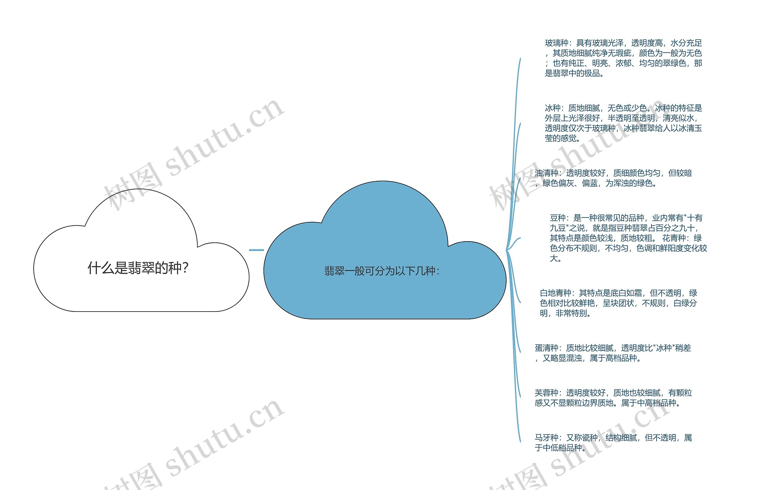 什么是翡翠的种？思维导图