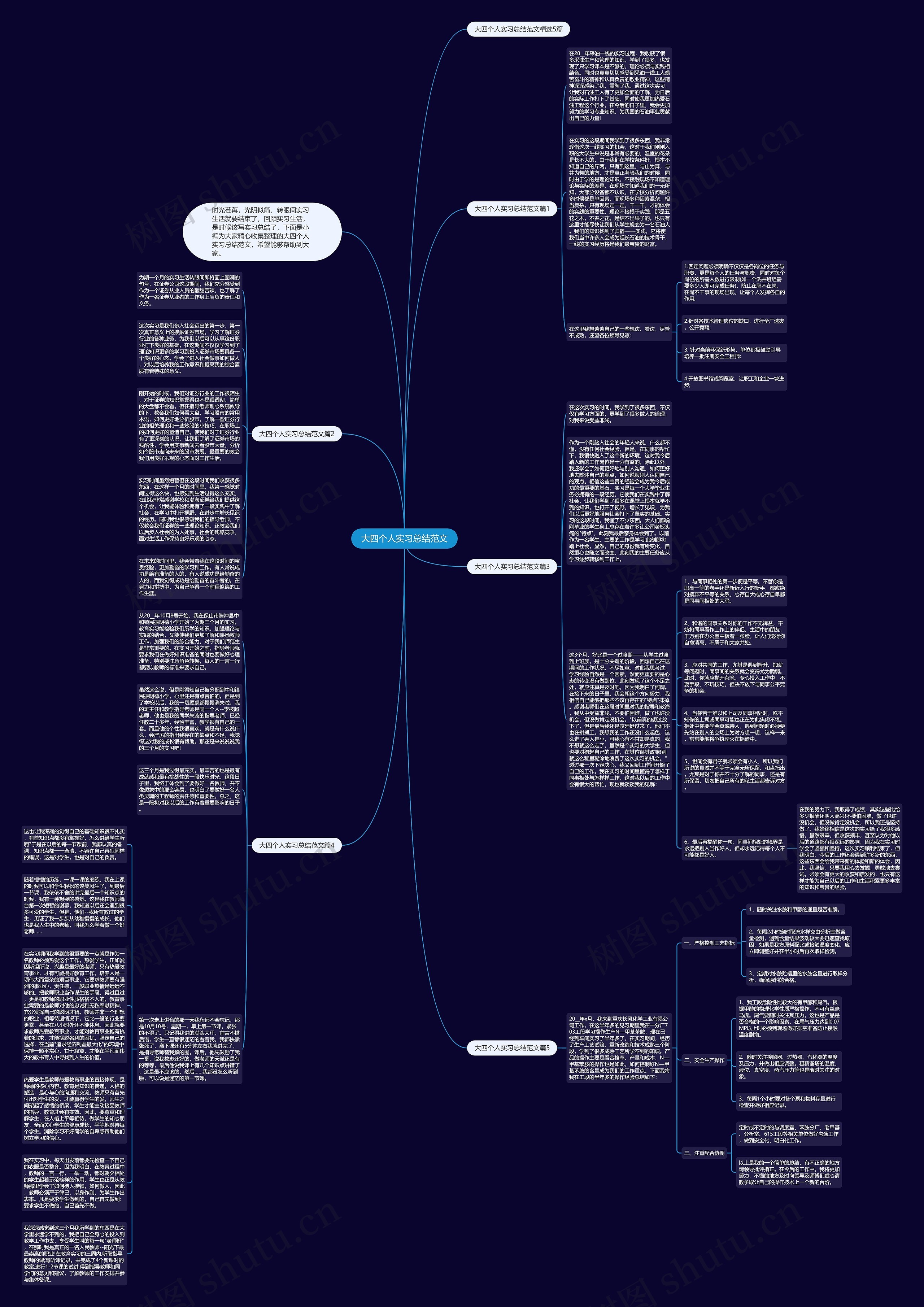 大四个人实习总结范文思维导图