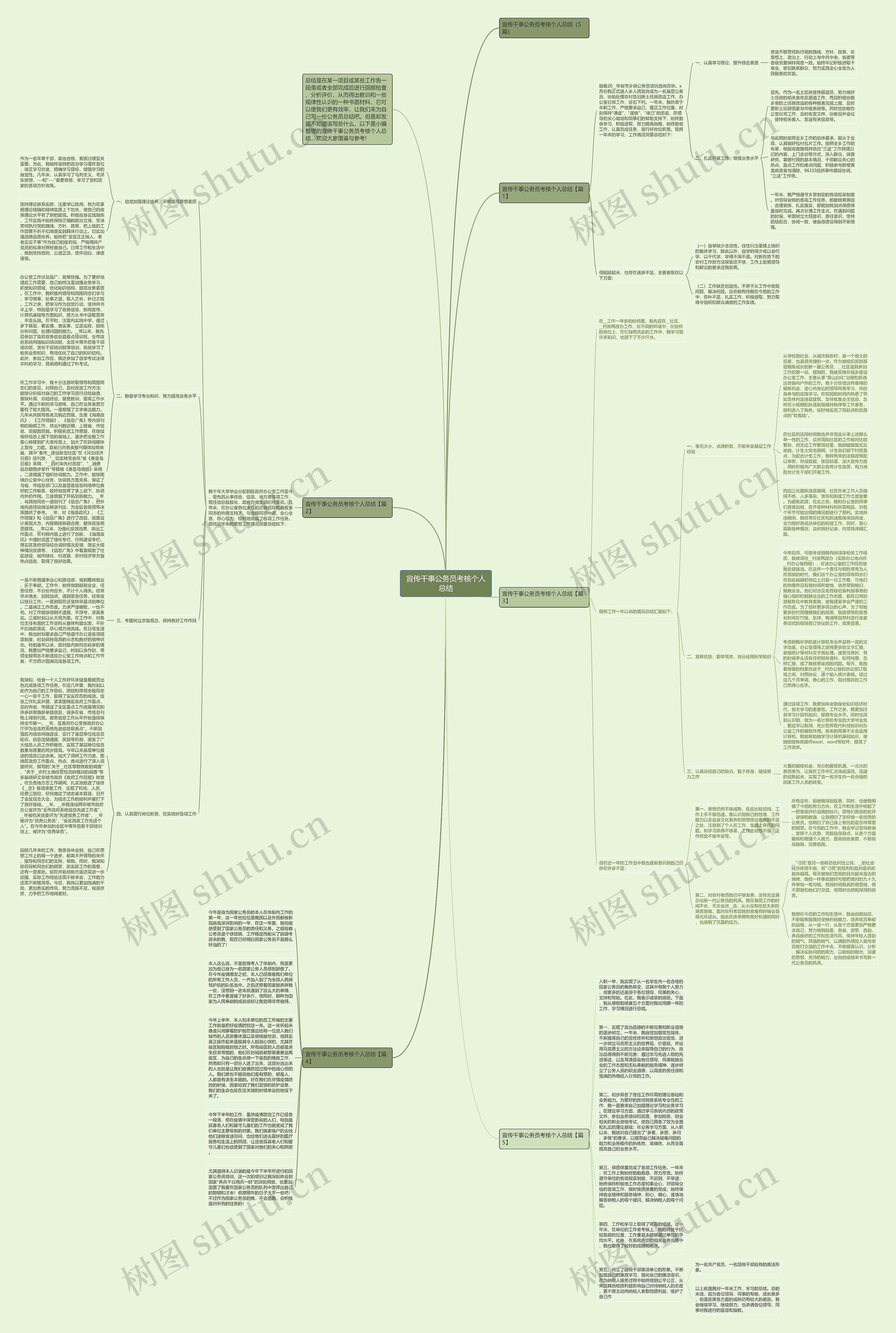 宣传干事公务员考核个人总结思维导图