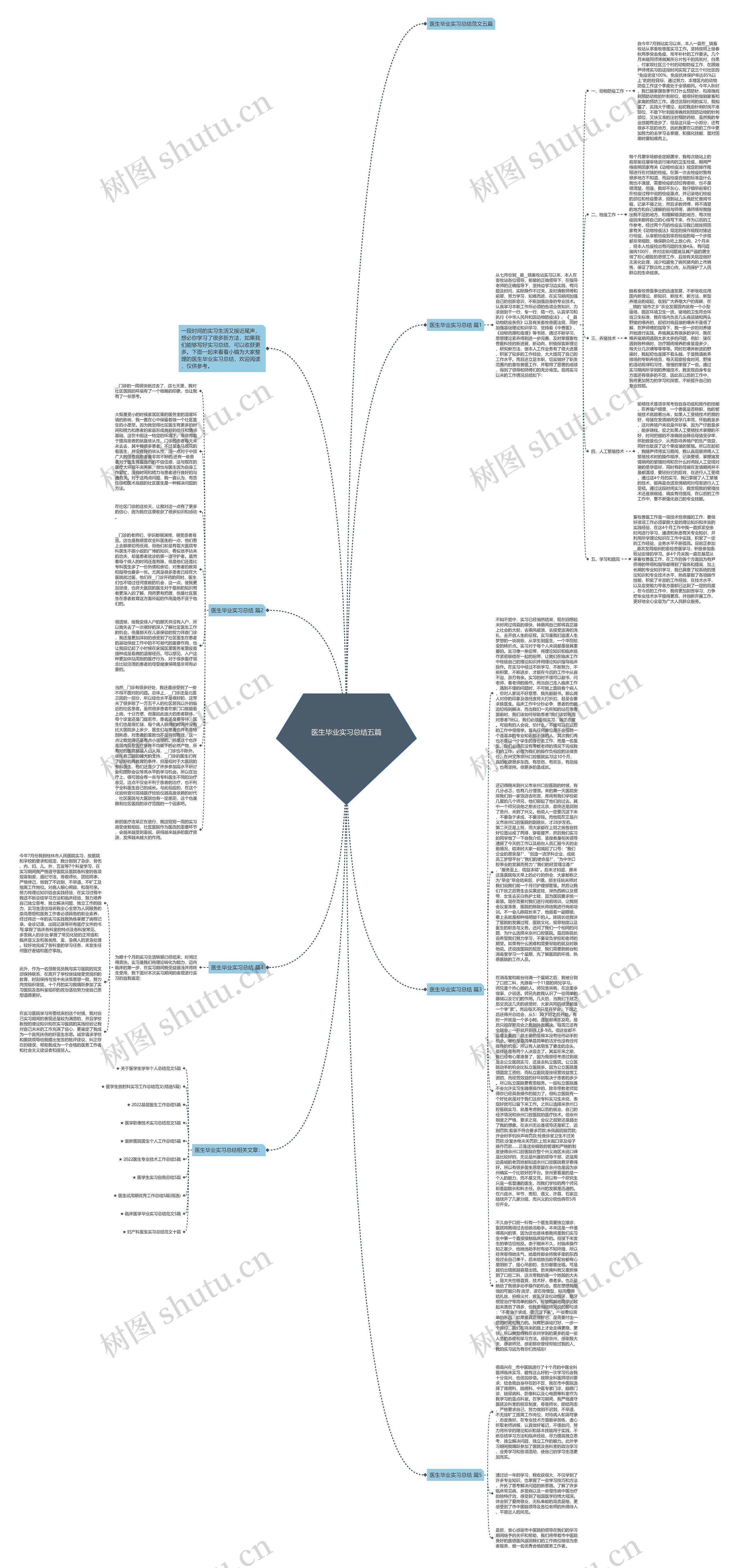 医生毕业实习总结五篇思维导图