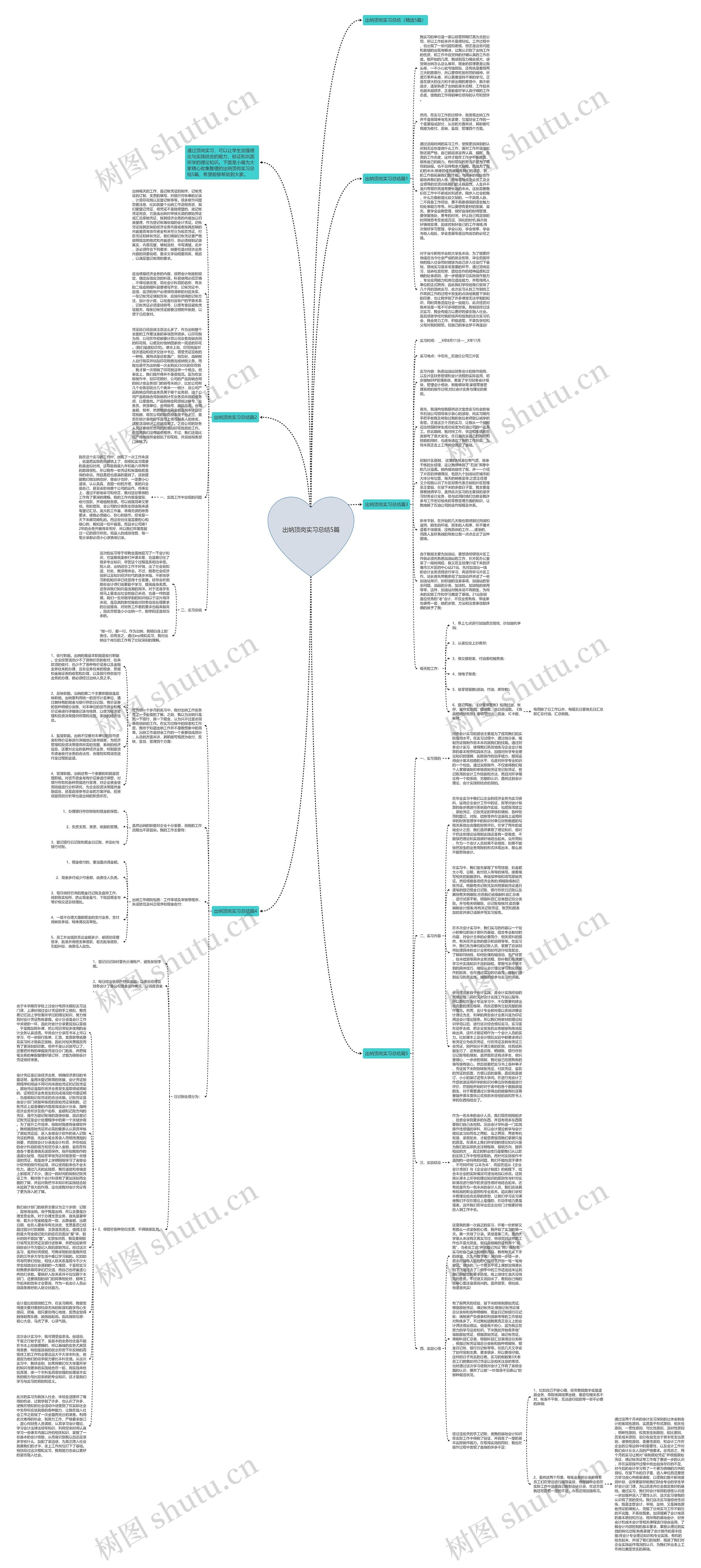 出纳顶岗实习总结5篇思维导图