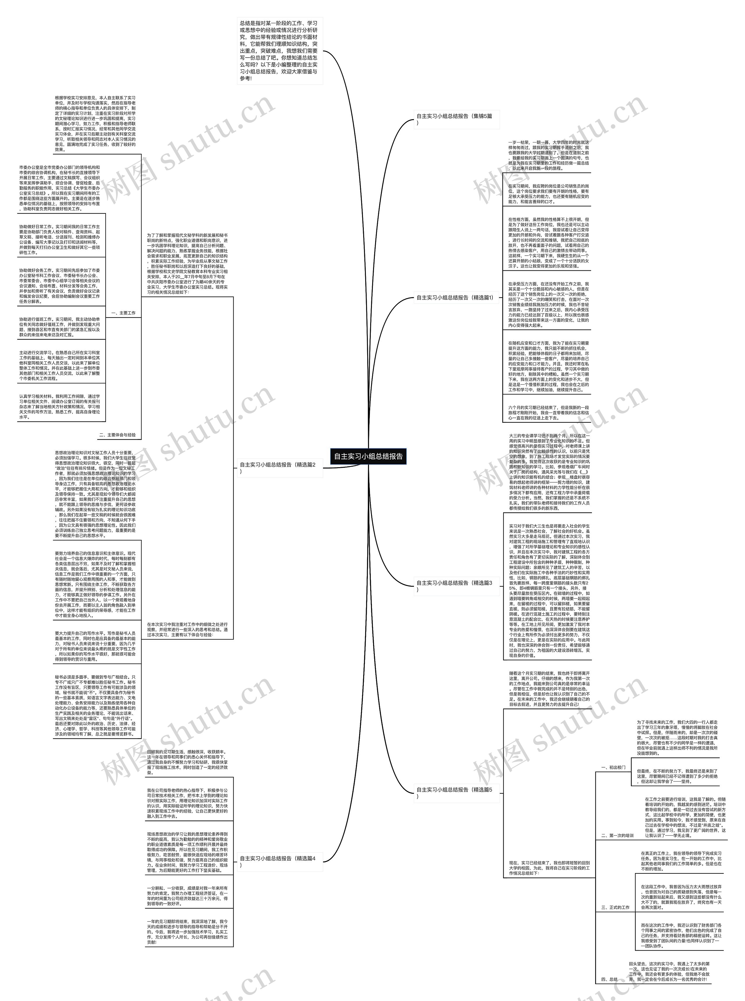 自主实习小组总结报告