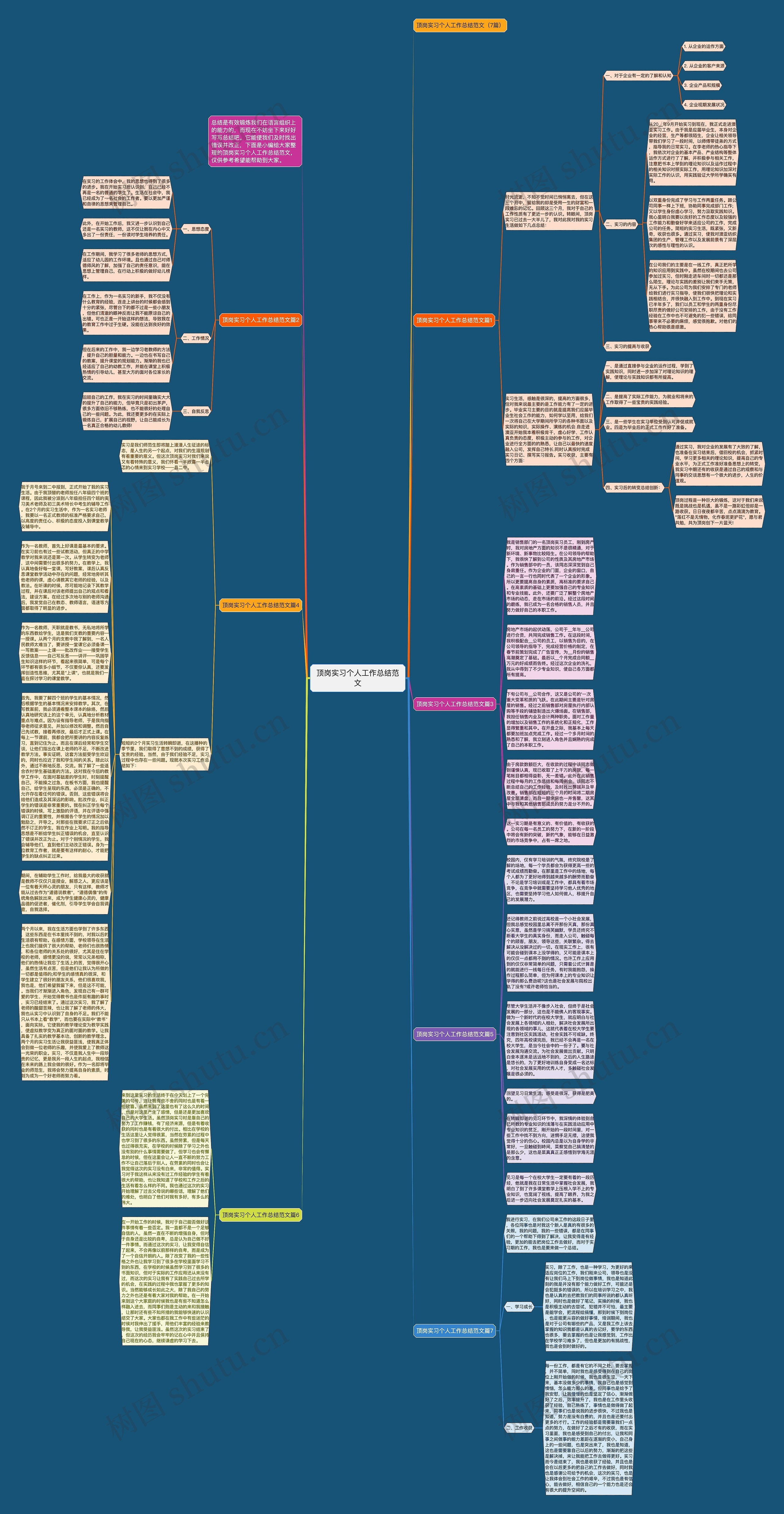 顶岗实习个人工作总结范文思维导图