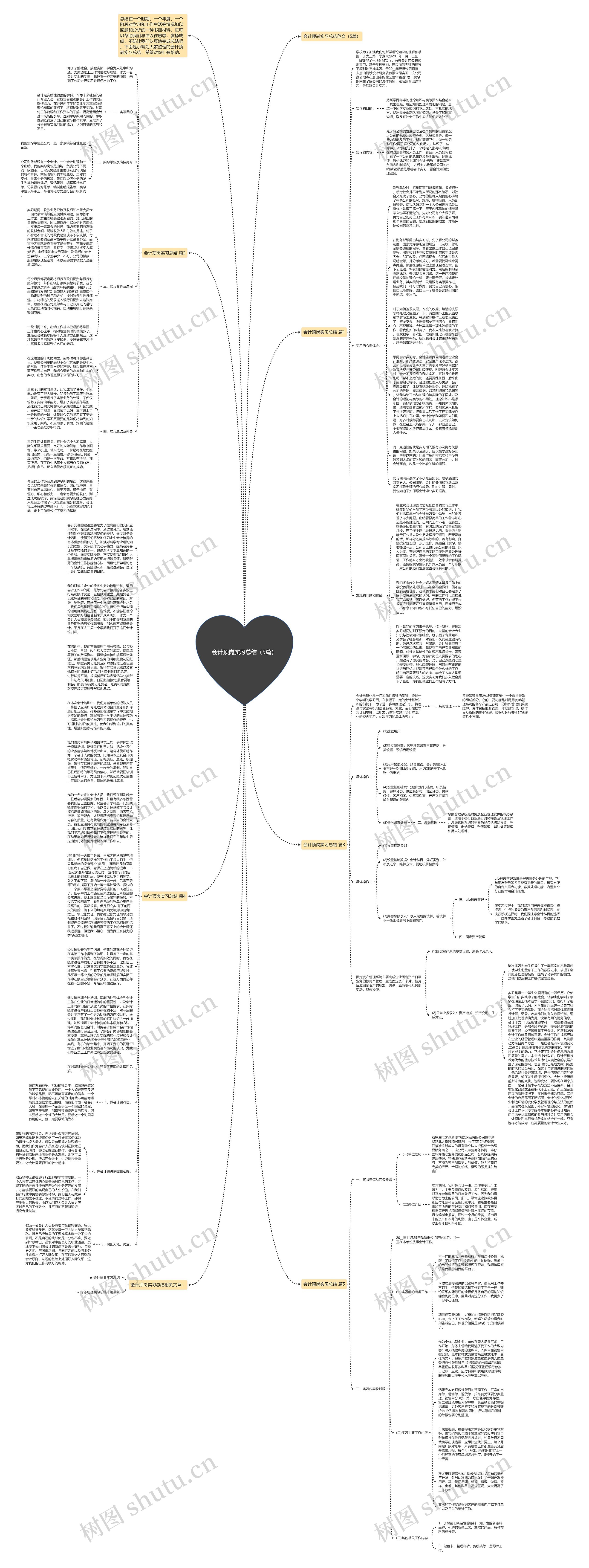 会计顶岗实习总结（5篇）思维导图