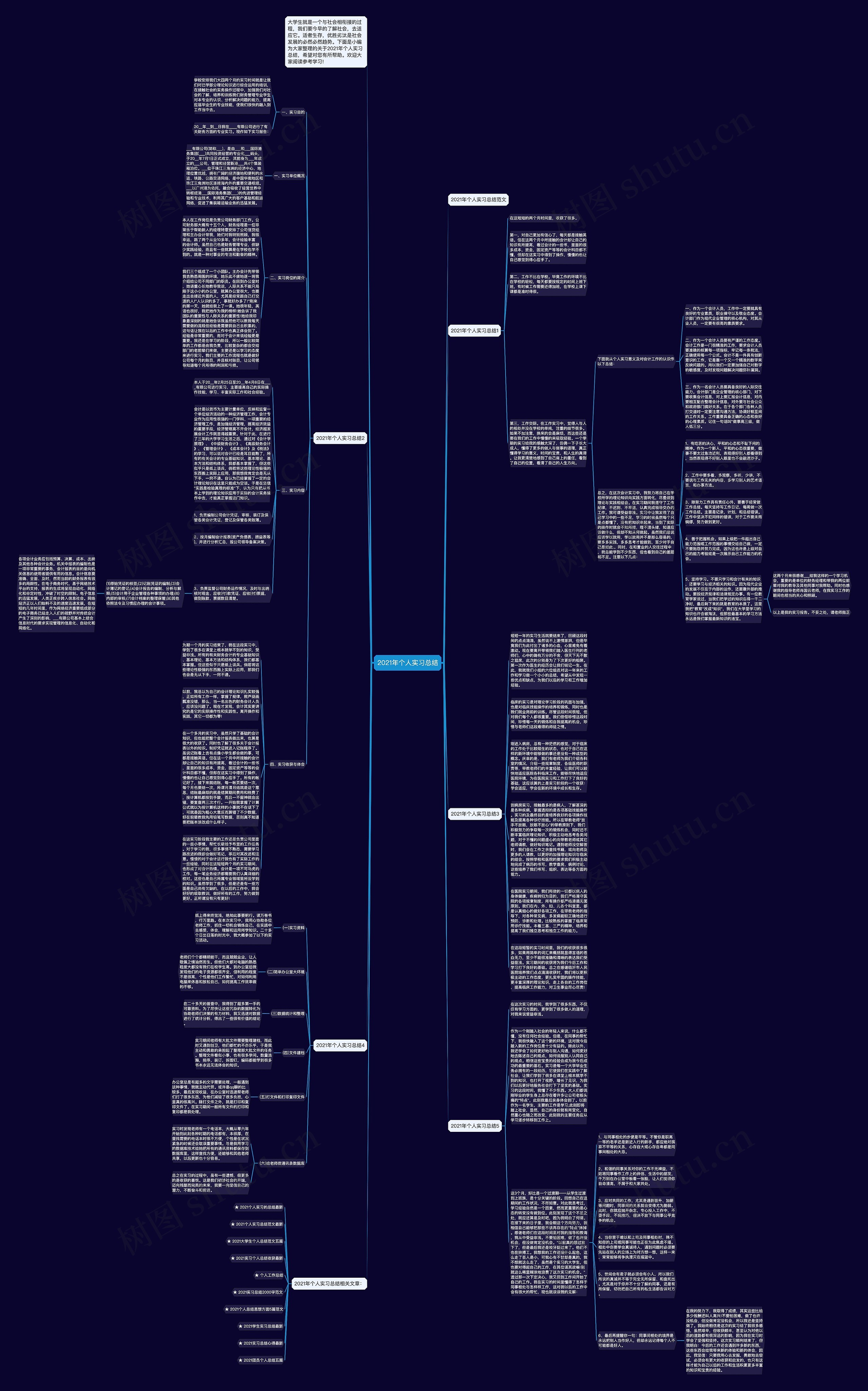 2021年个人实习总结思维导图