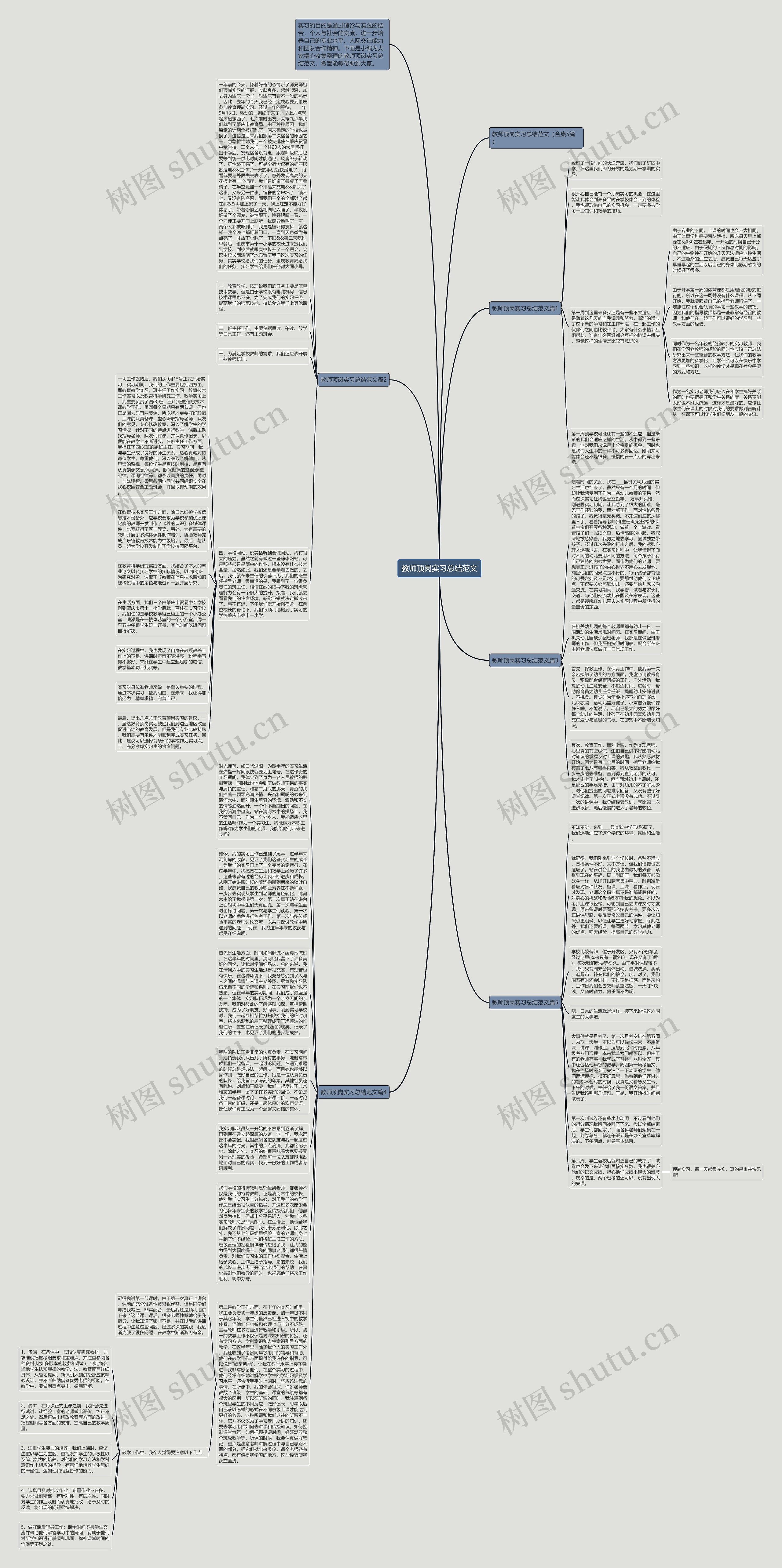 教师顶岗实习总结范文思维导图