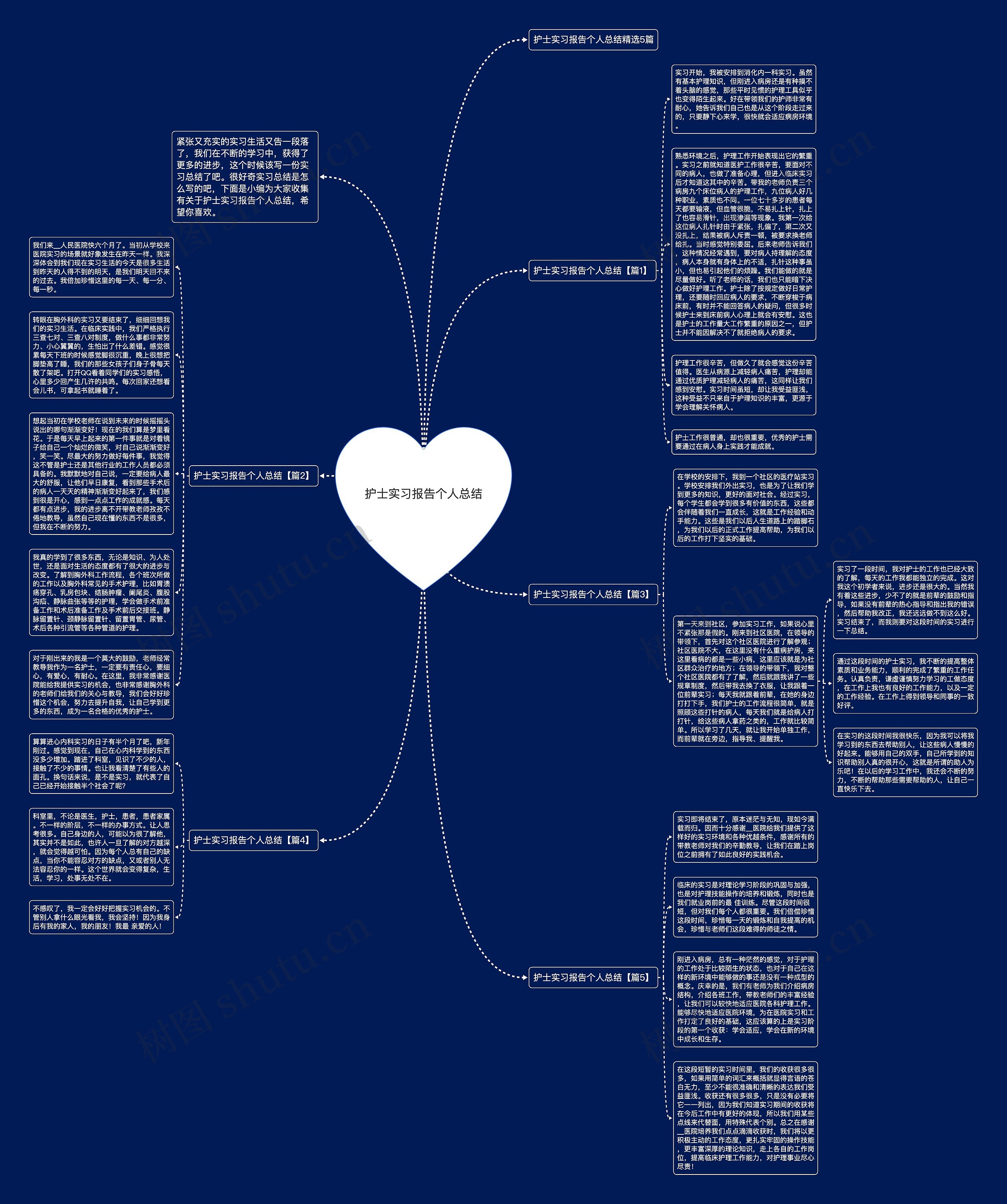 护士实习报告个人总结思维导图
