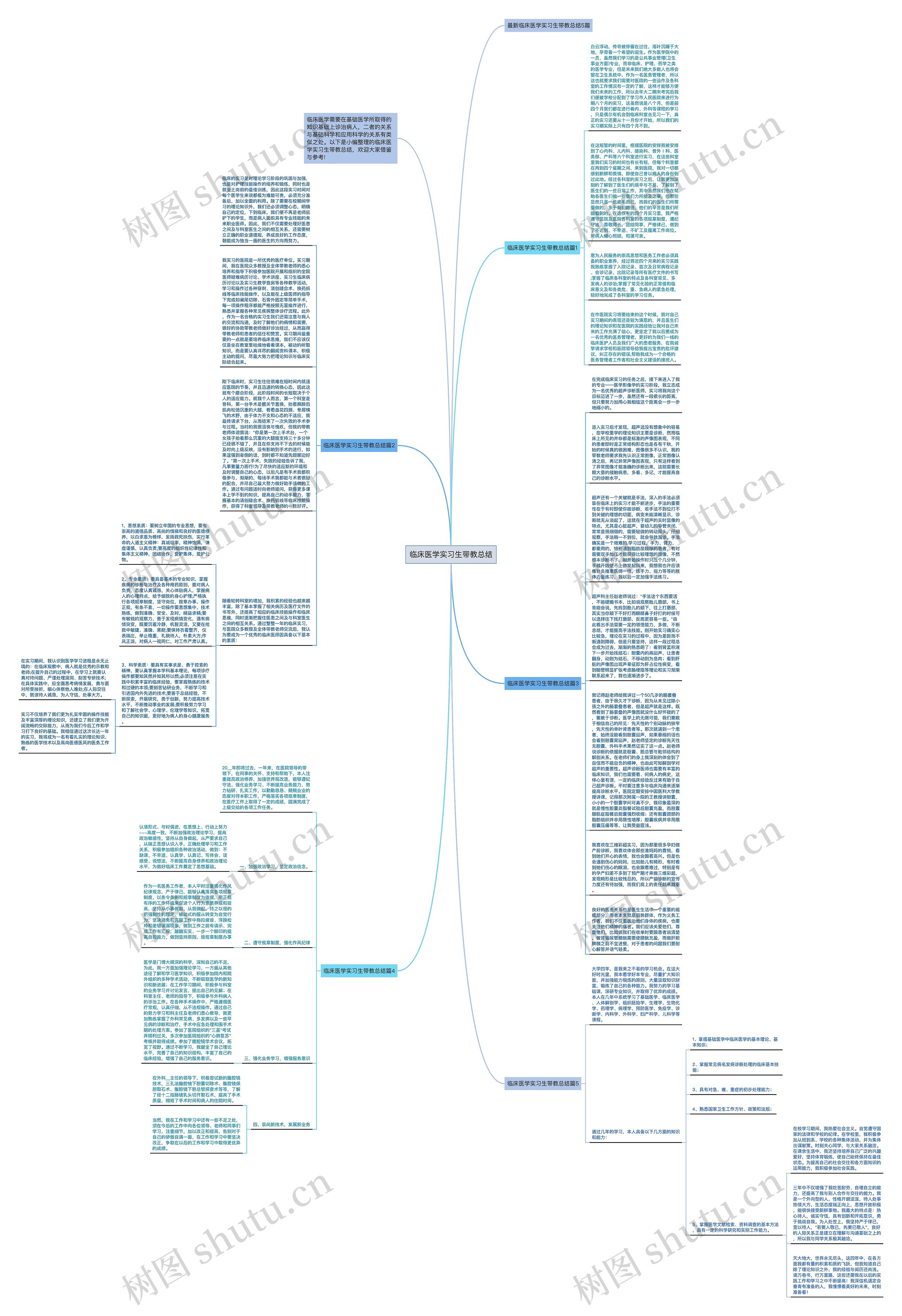 临床医学实习生带教总结思维导图