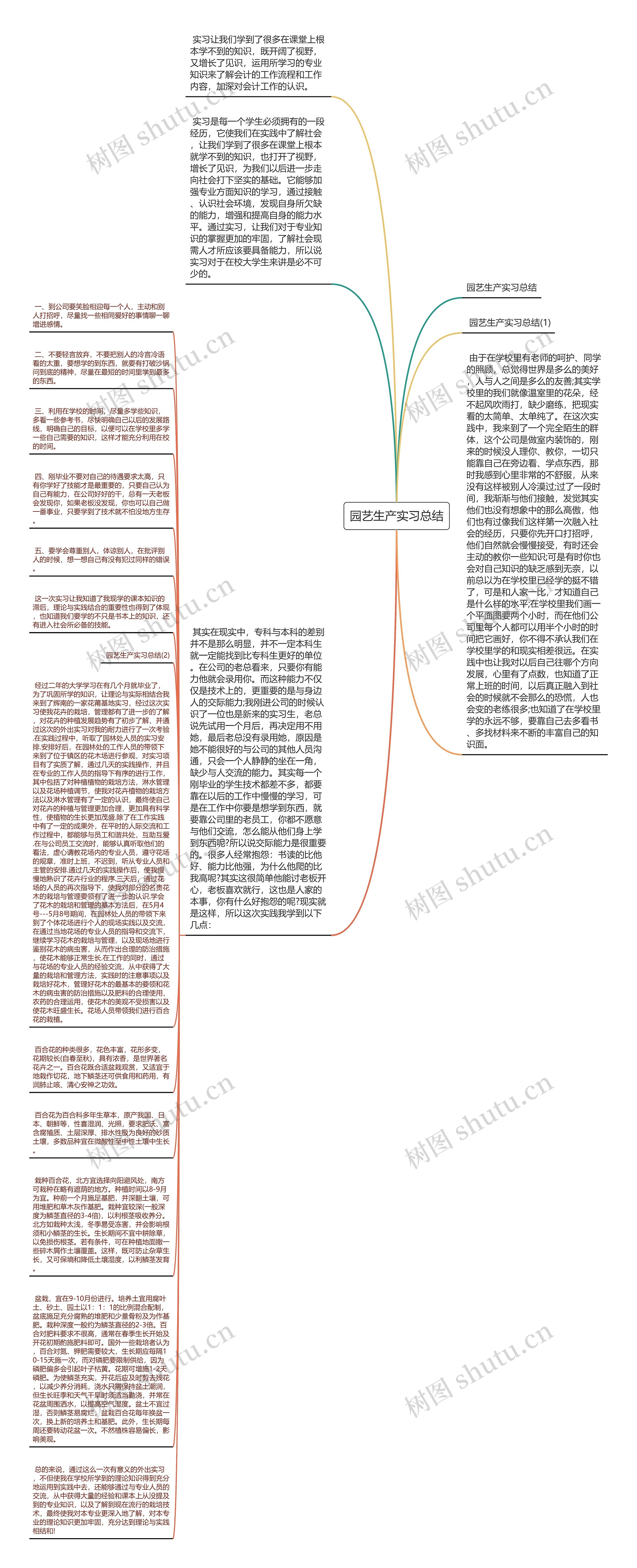 园艺生产实习总结