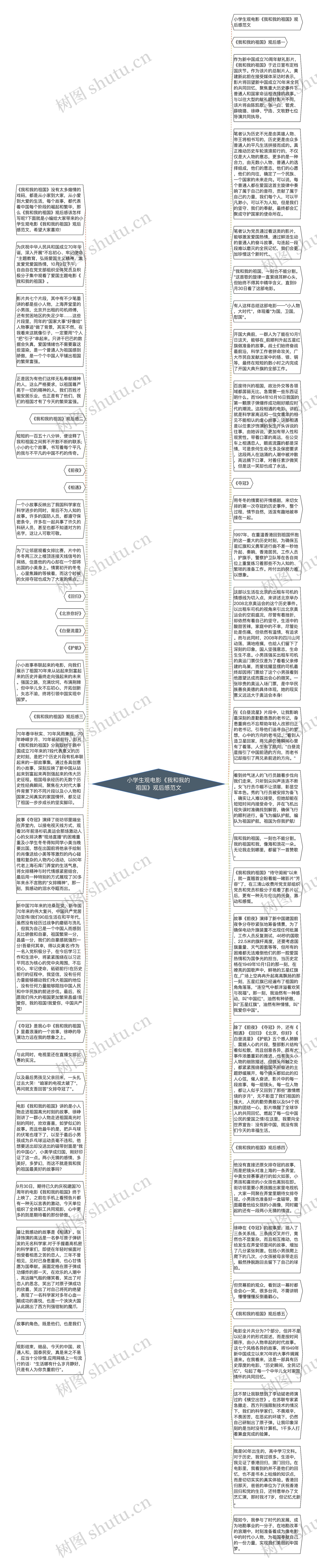 小学生观电影《我和我的祖国》观后感范文