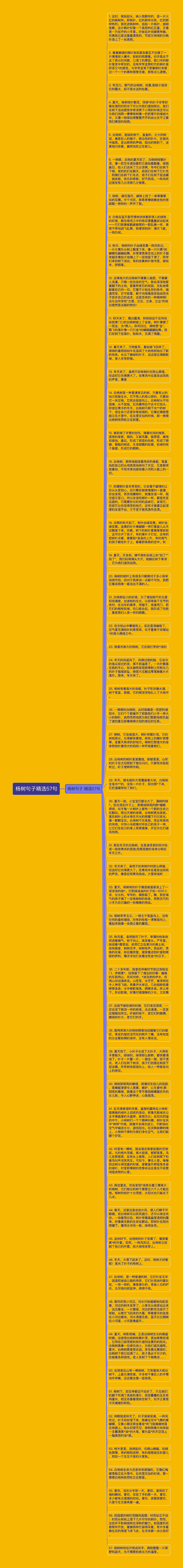 杨树句子精选57句思维导图