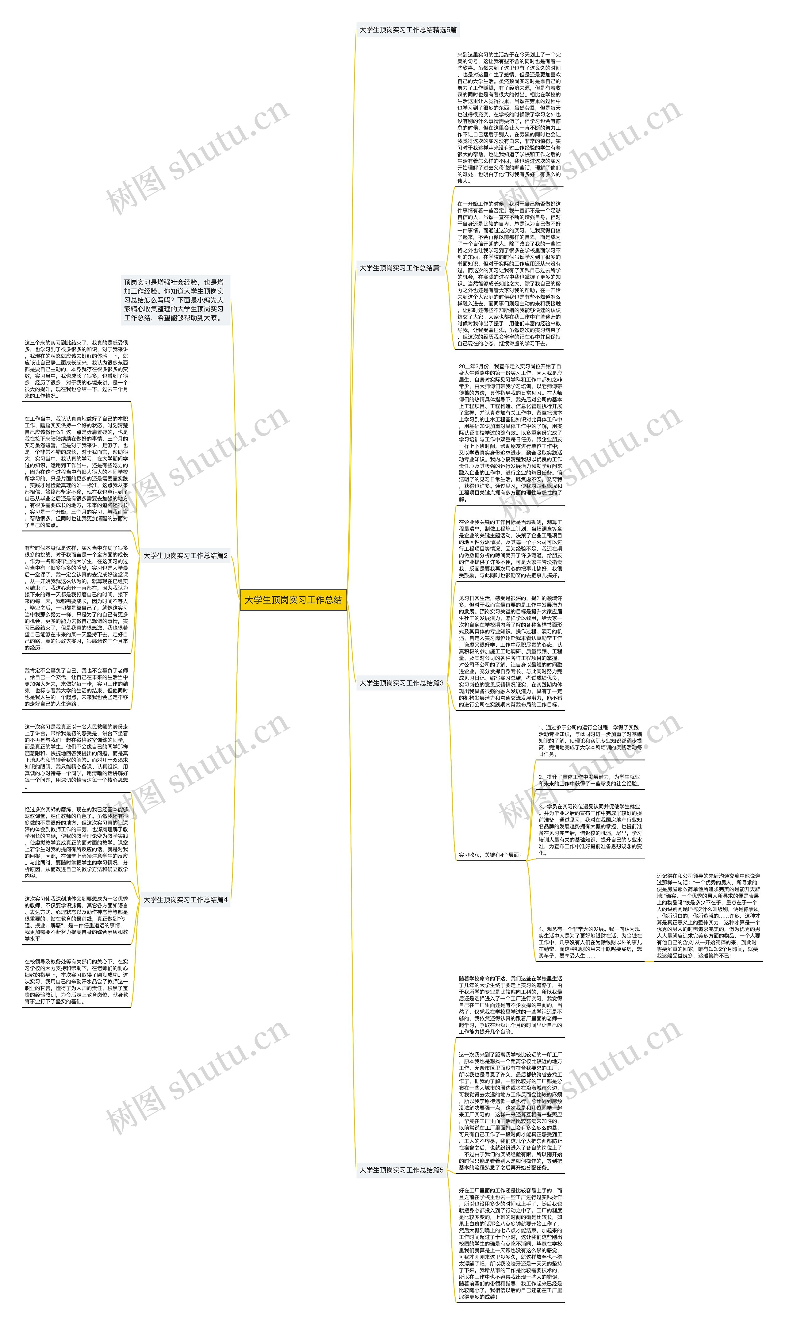 大学生顶岗实习工作总结思维导图