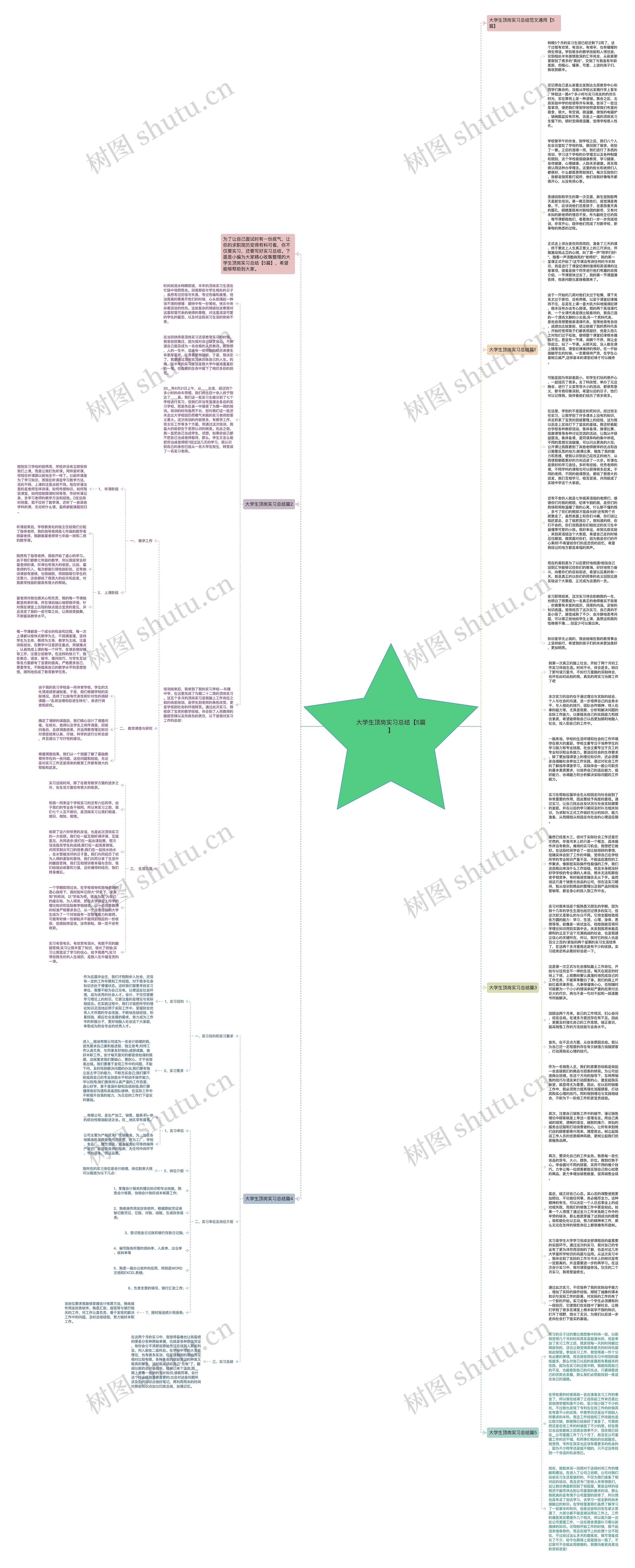 大学生顶岗实习总结【5篇】思维导图