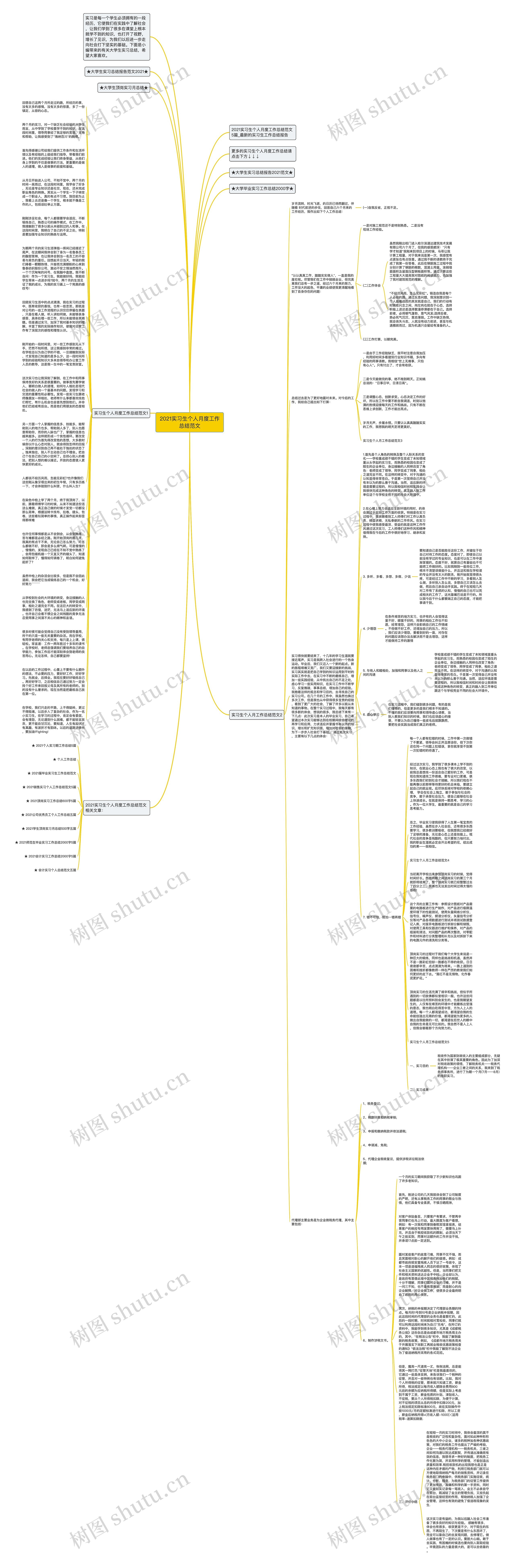 2021实习生个人月度工作总结范文思维导图