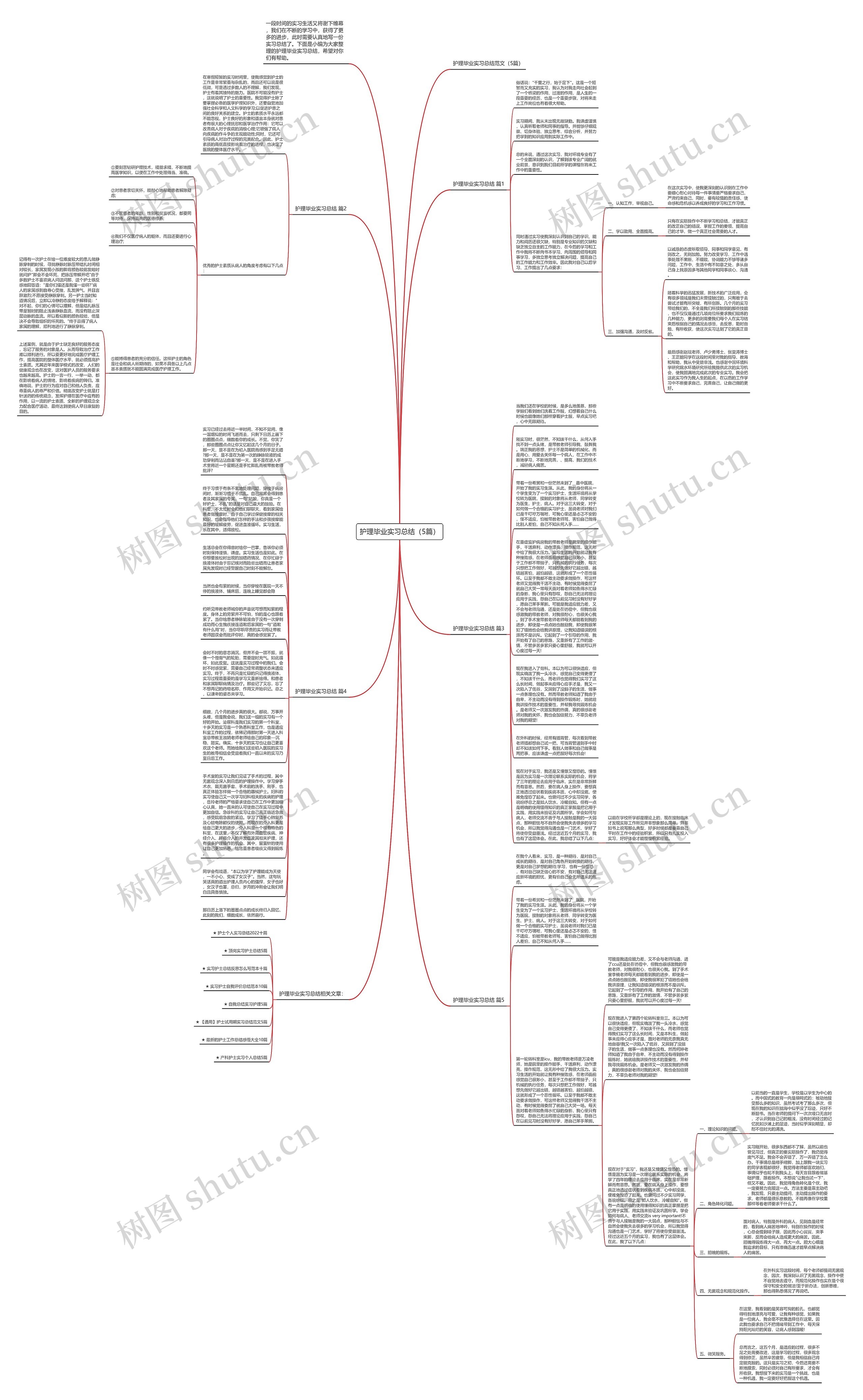 护理毕业实习总结（5篇）思维导图