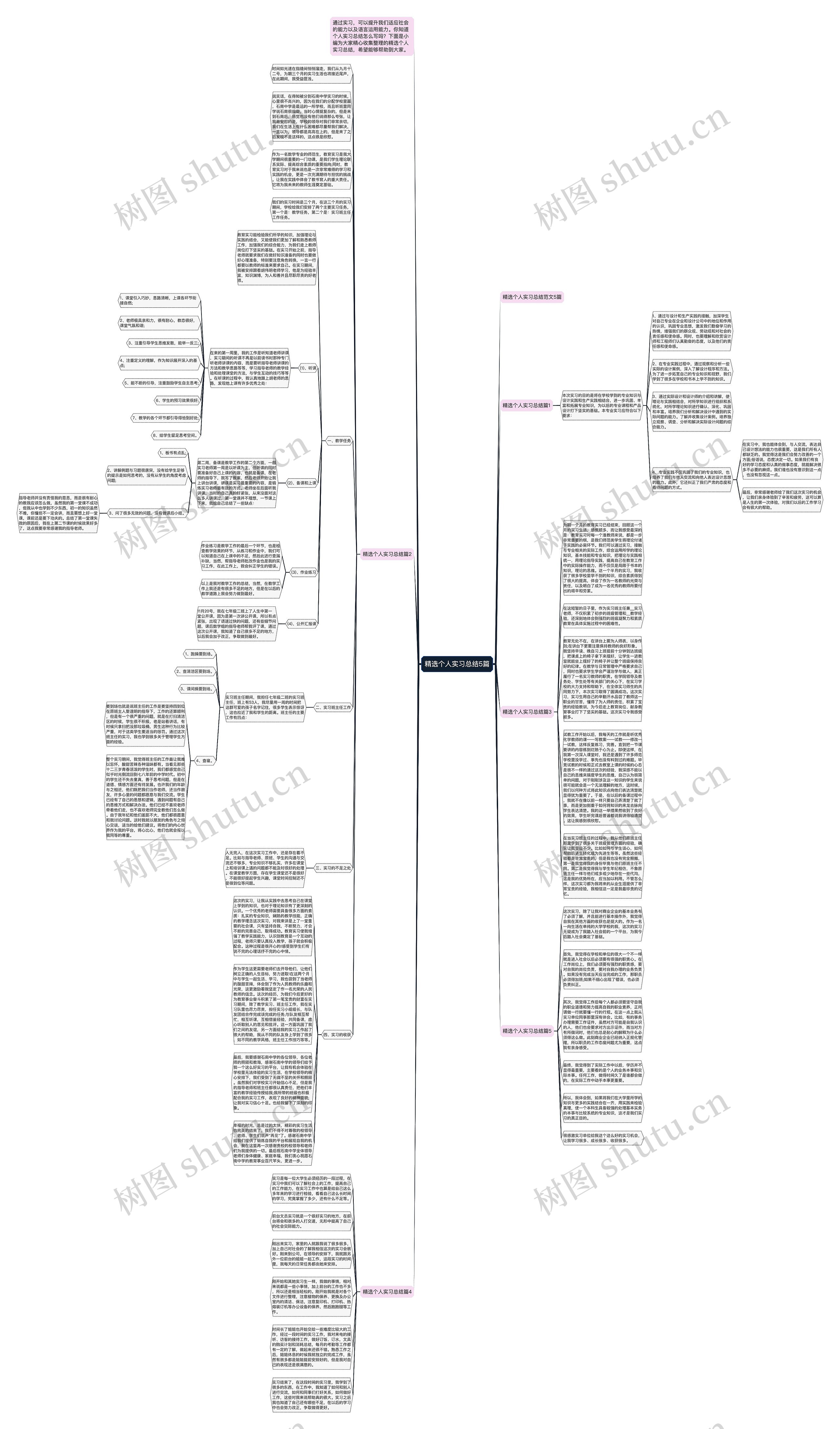精选个人实习总结5篇思维导图