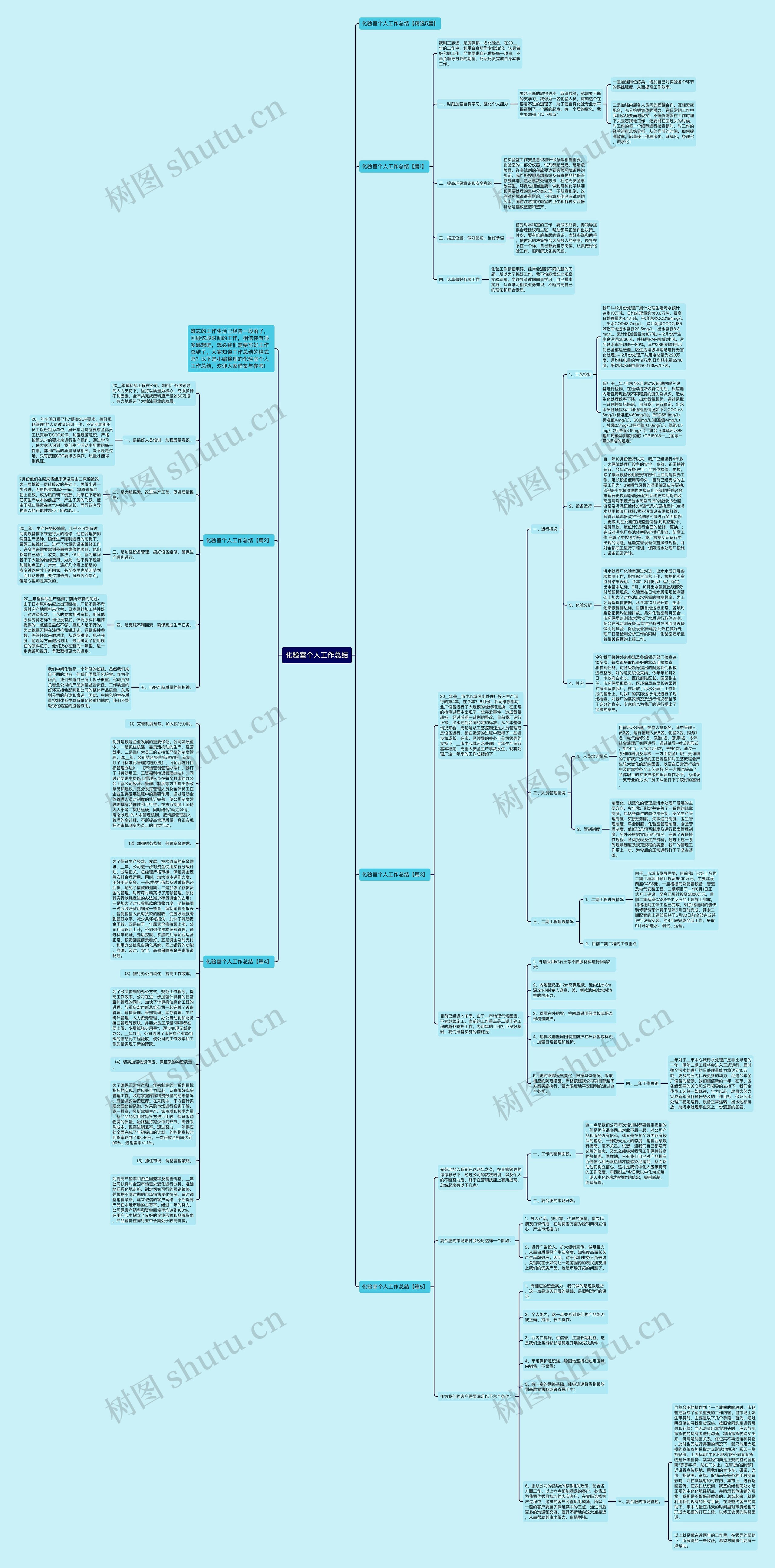 化验室个人工作总结思维导图