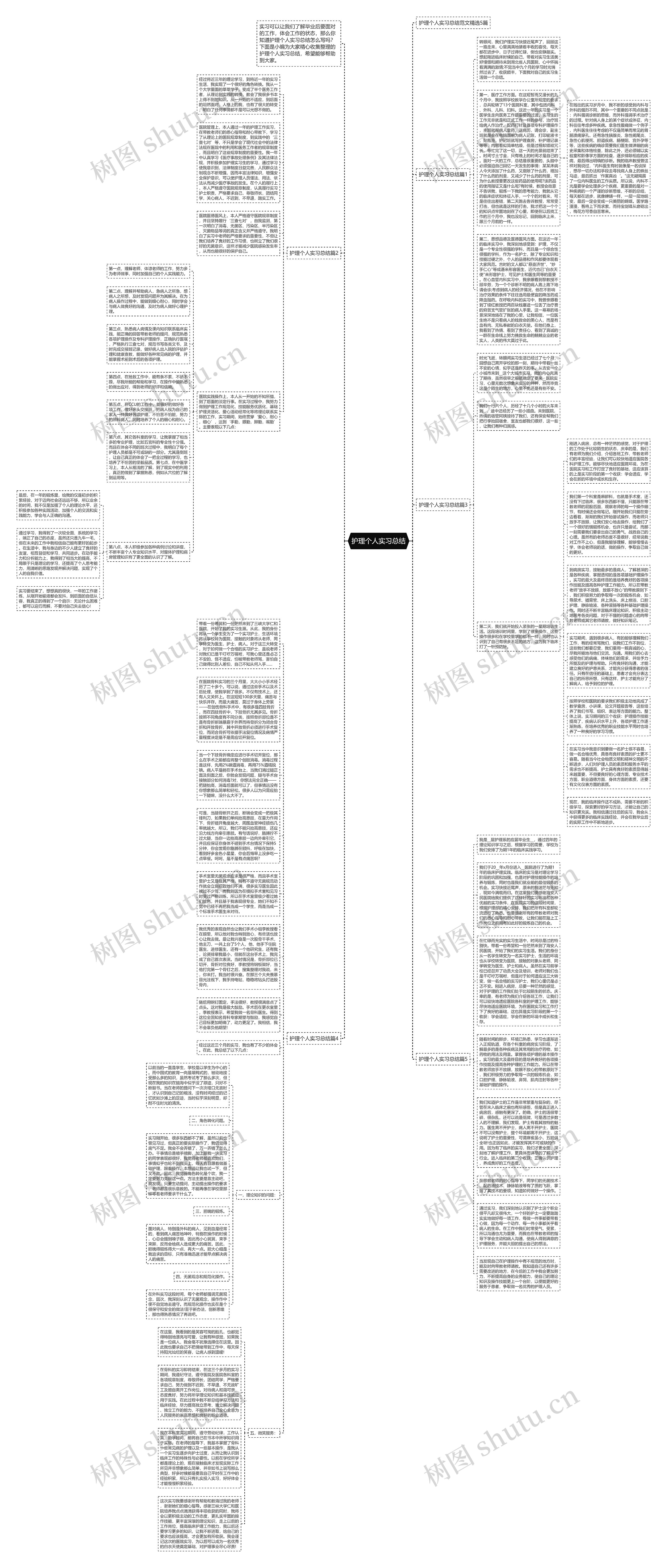 护理个人实习总结思维导图
