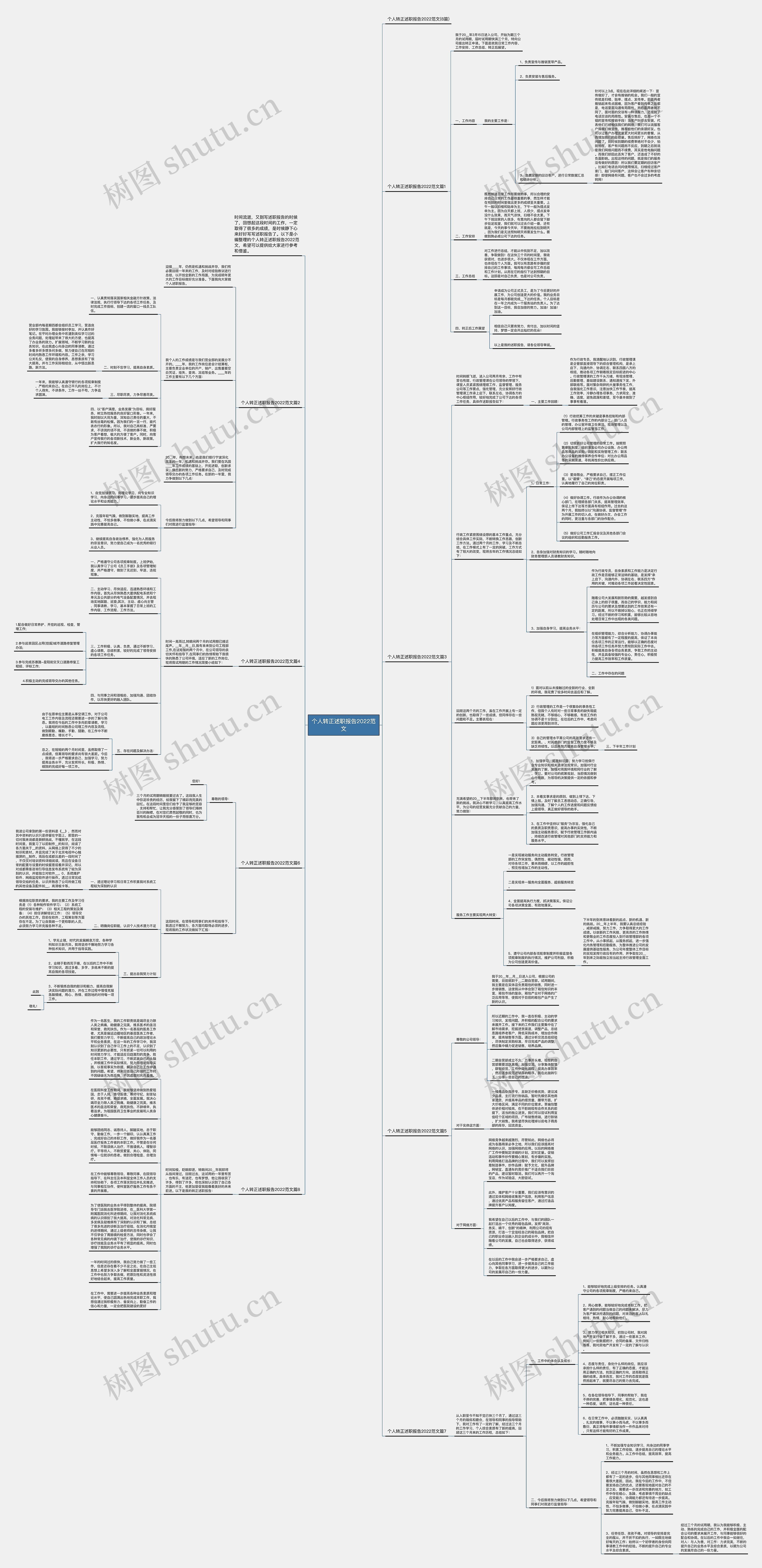 个人转正述职报告2022范文思维导图