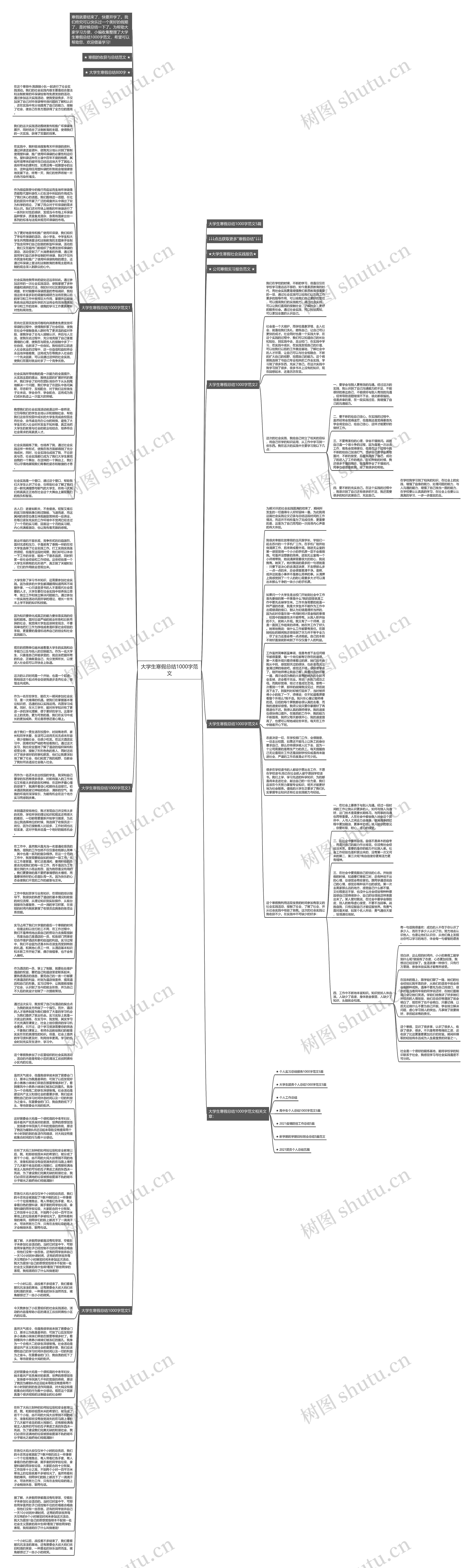 大学生寒假总结1000字范文思维导图